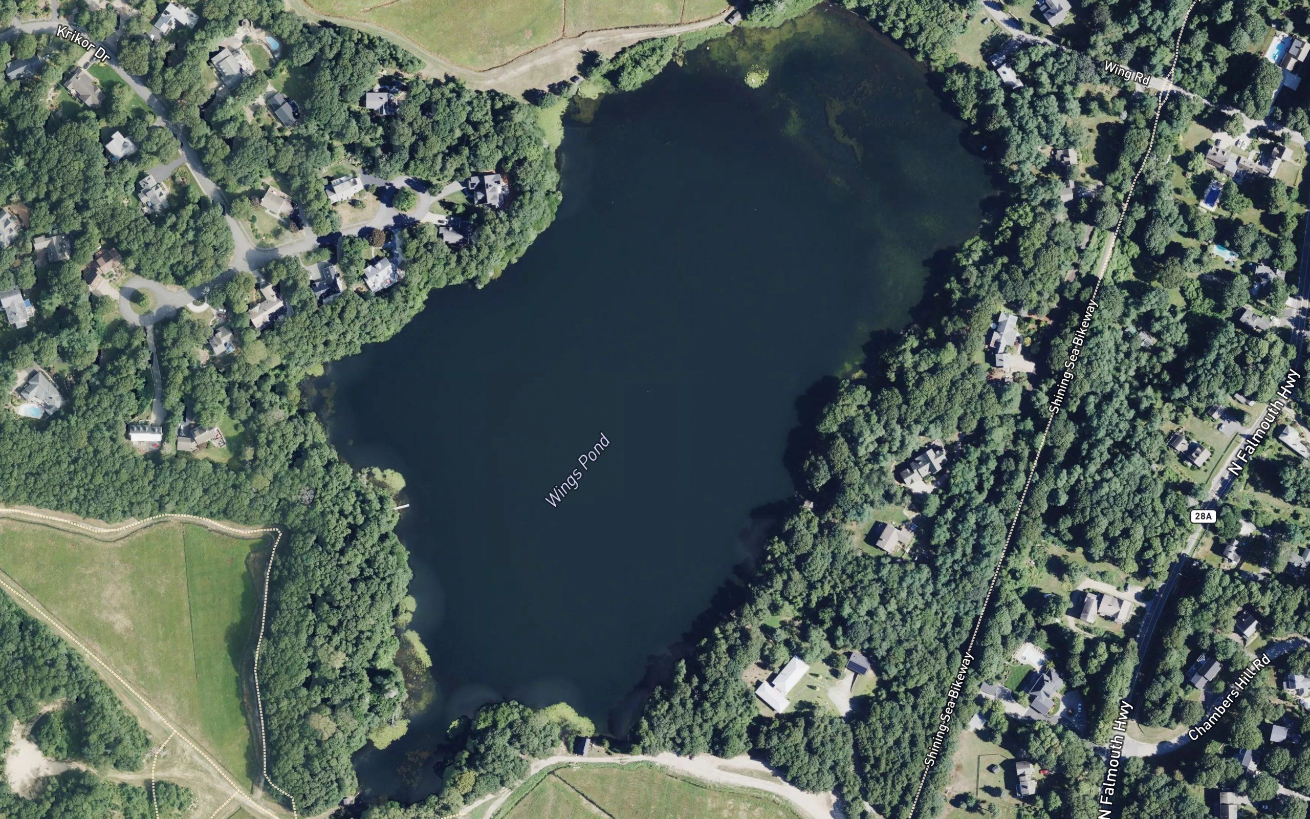 Wings Pond