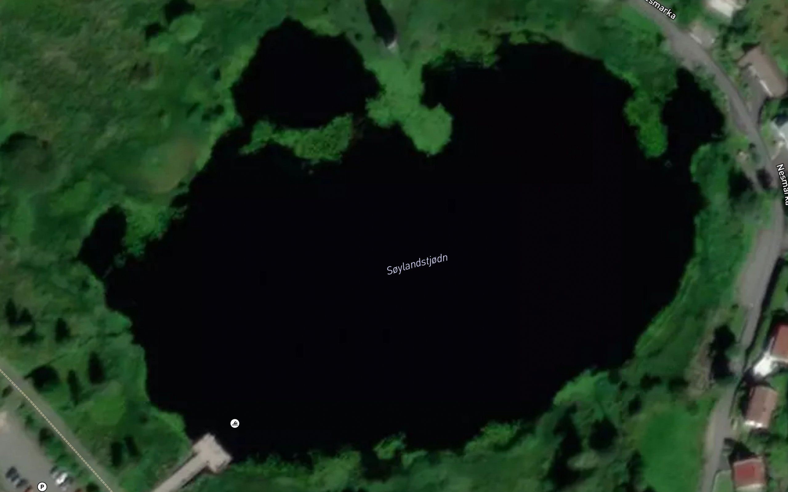 Soylandstjorna