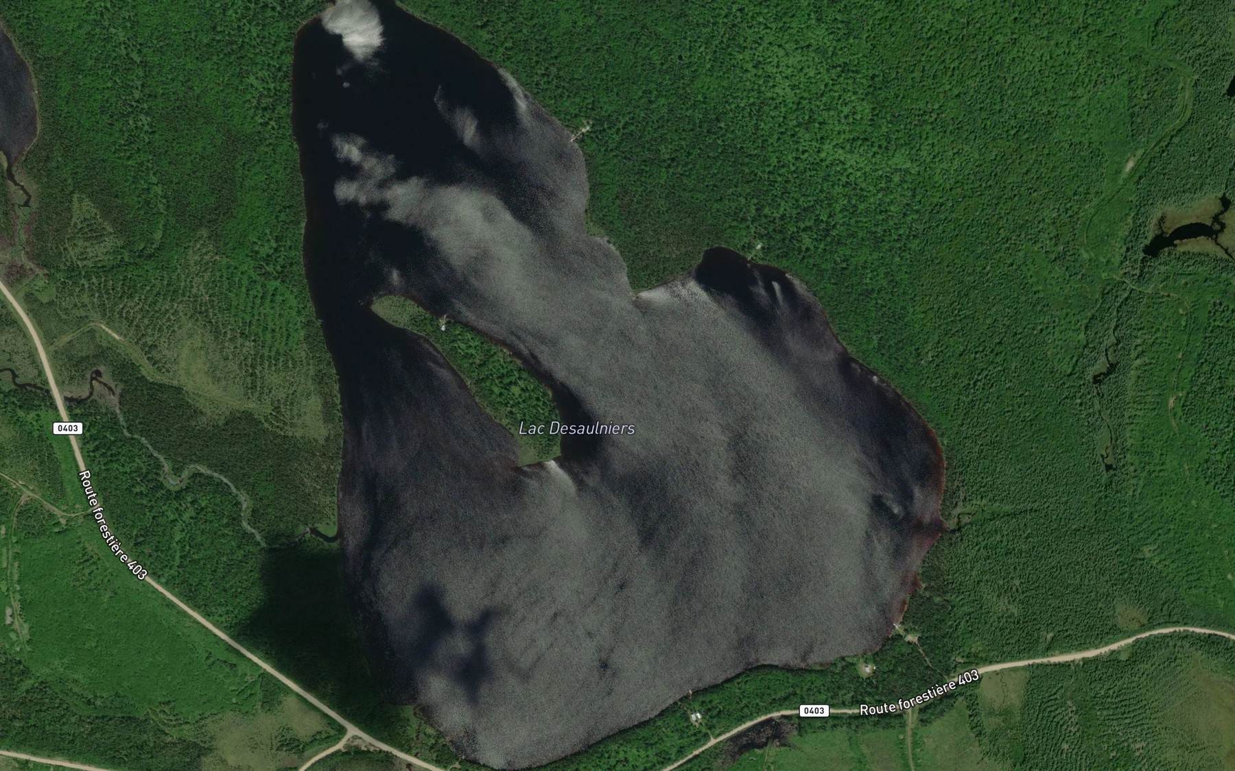 Satellite map of the Lac Desaulniers