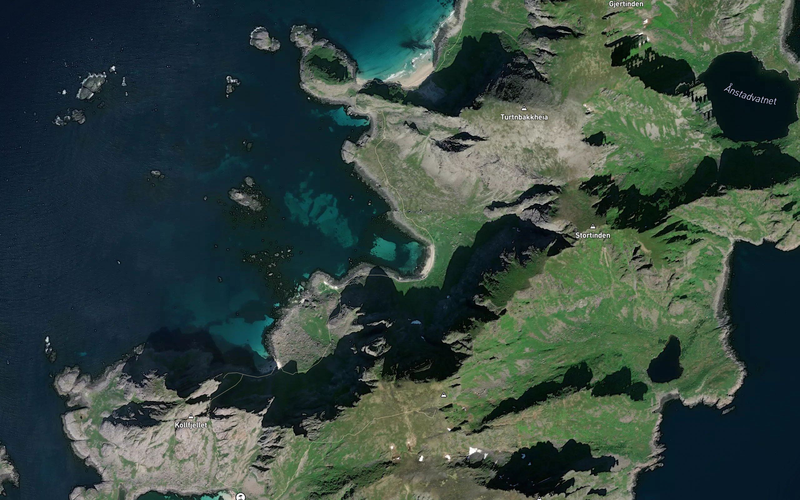 Revsvika