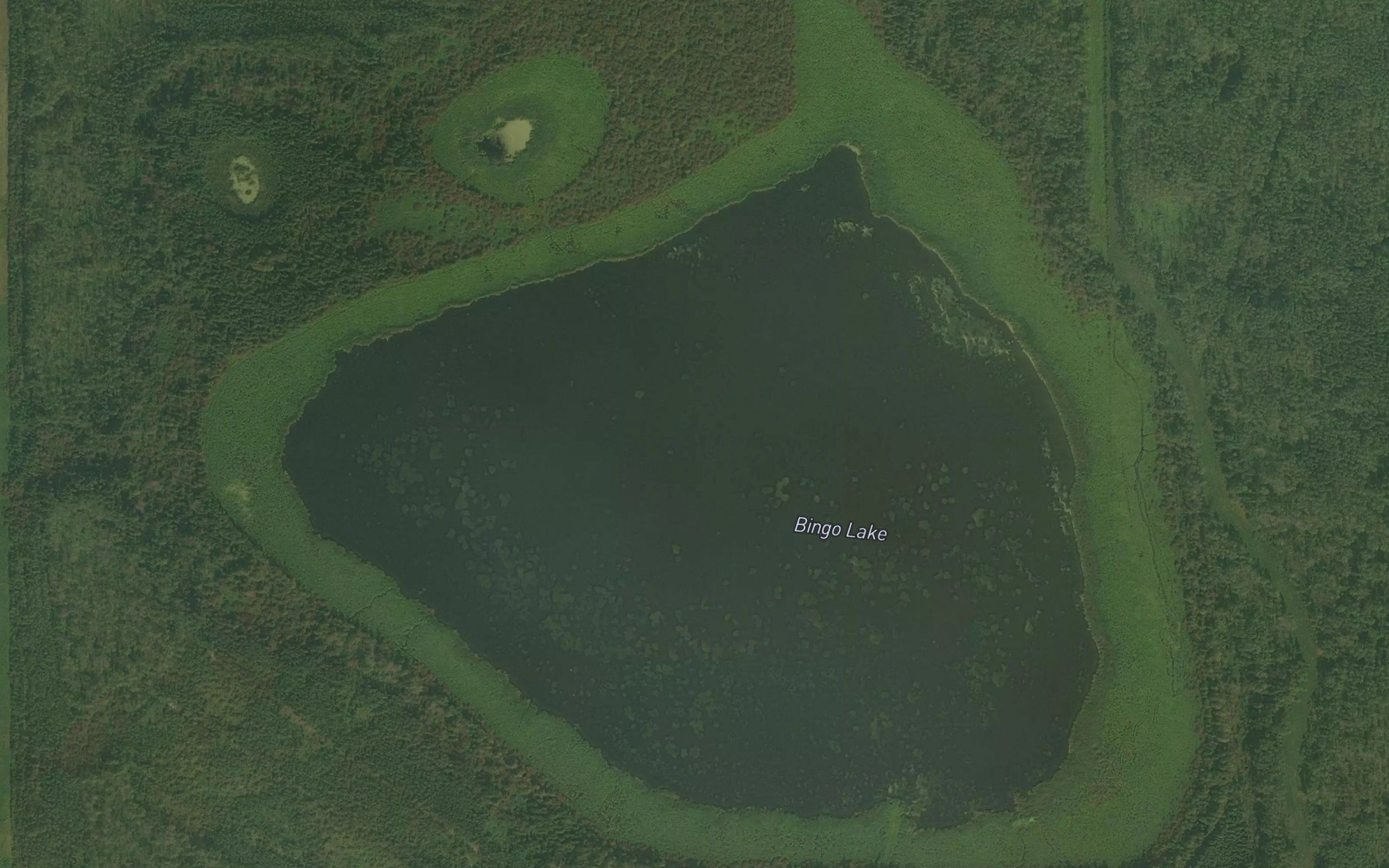 Bingo Lake
