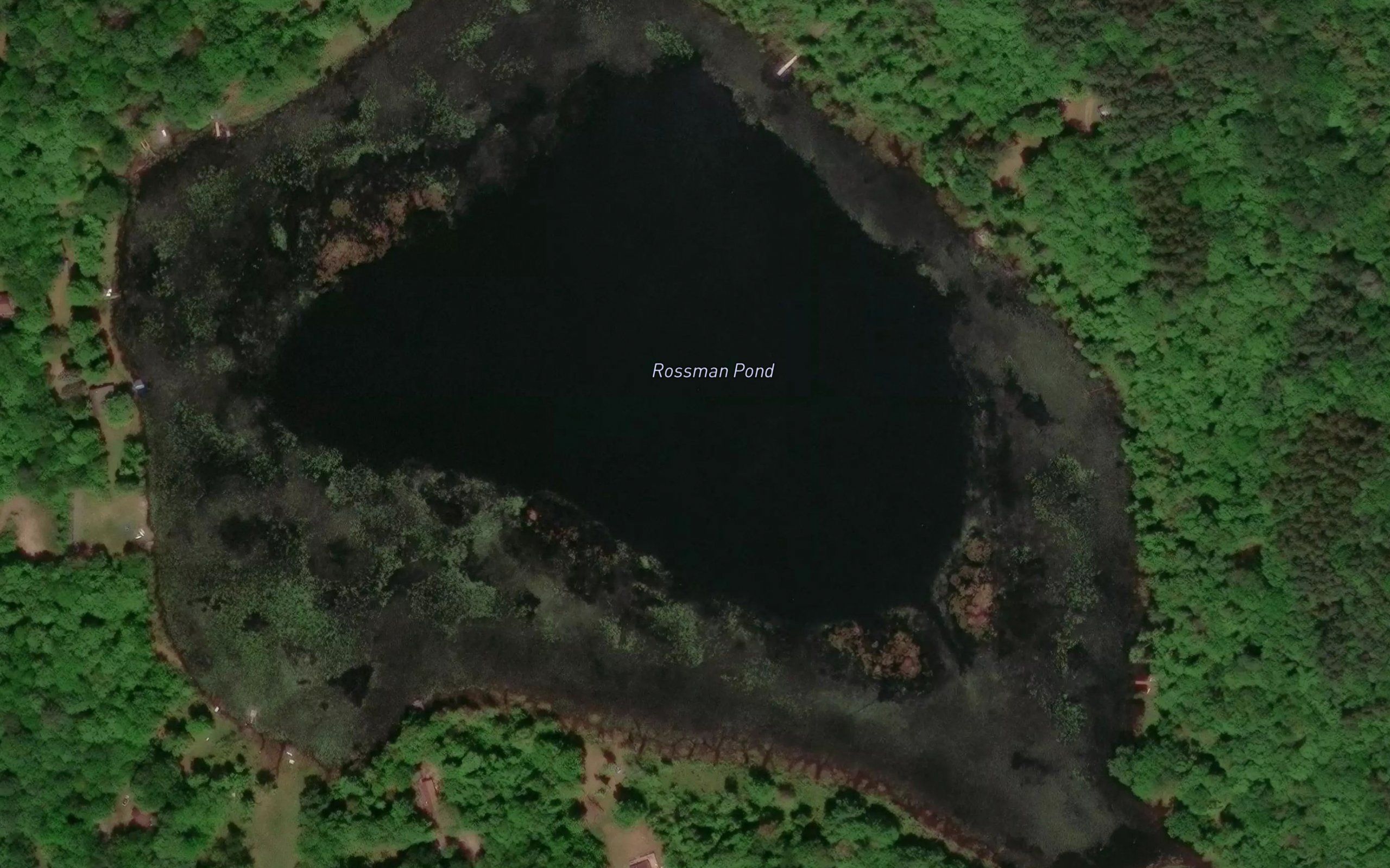 Rossman Pond