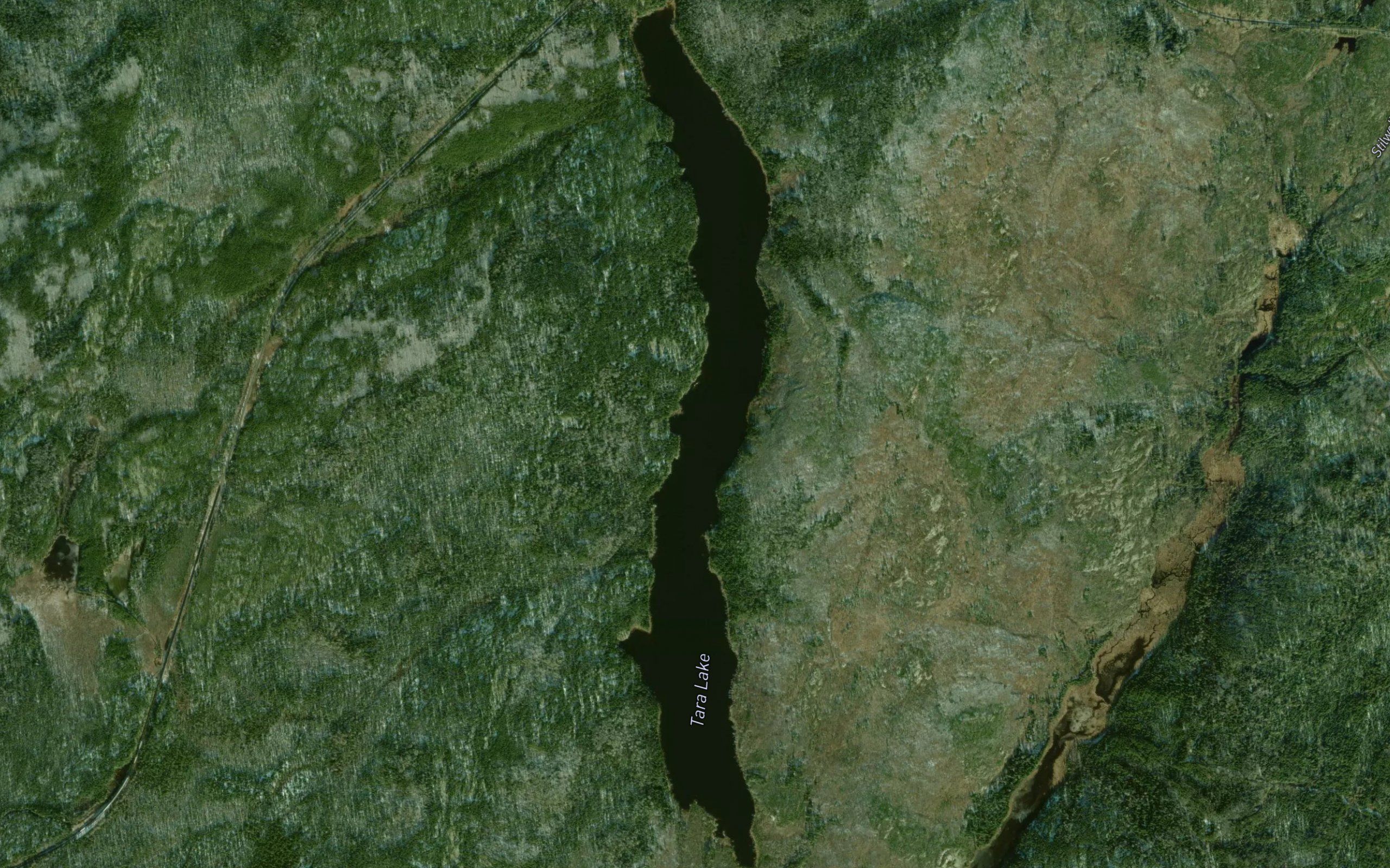 Tara Lake