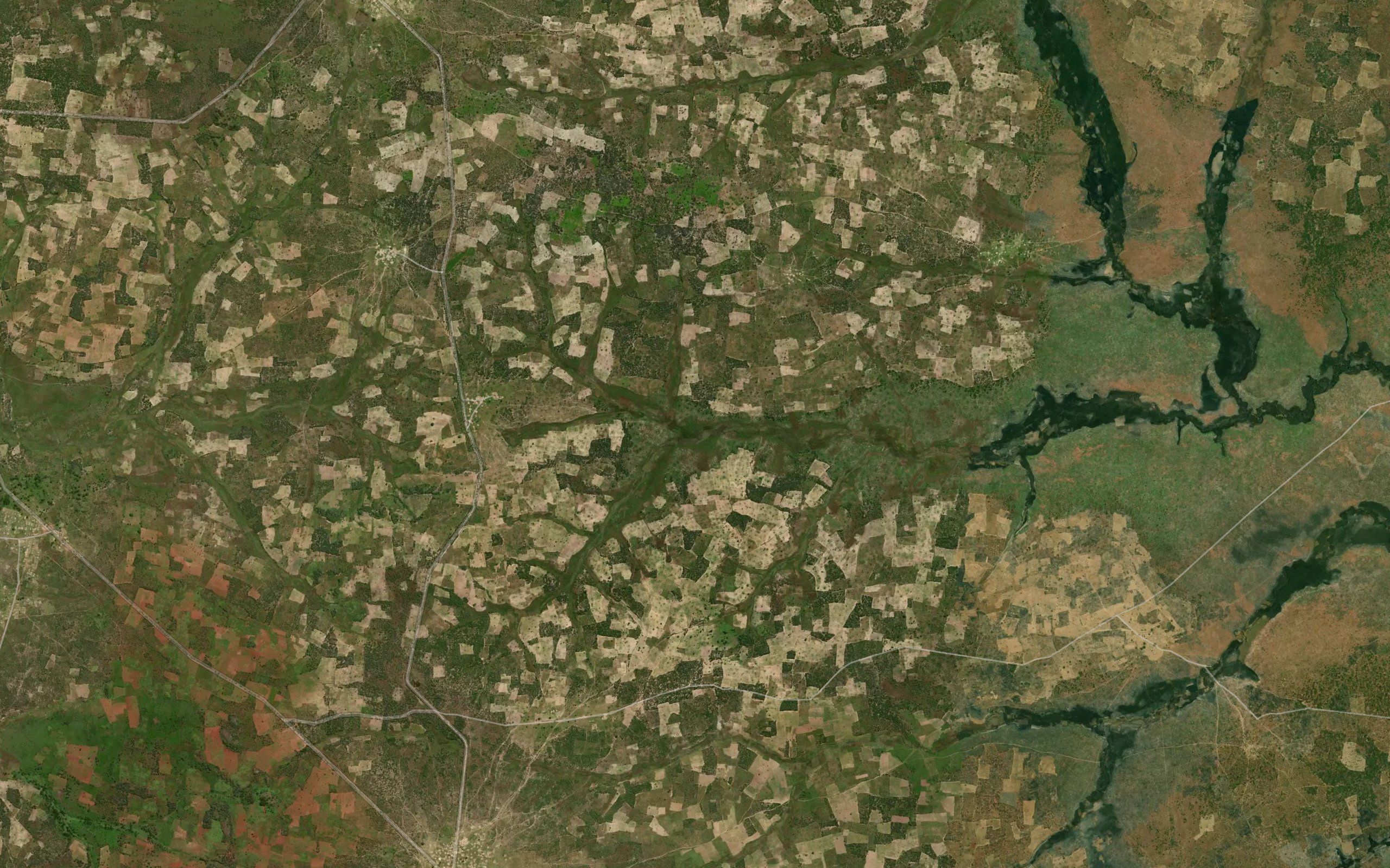 TchinhuangoloSegundo