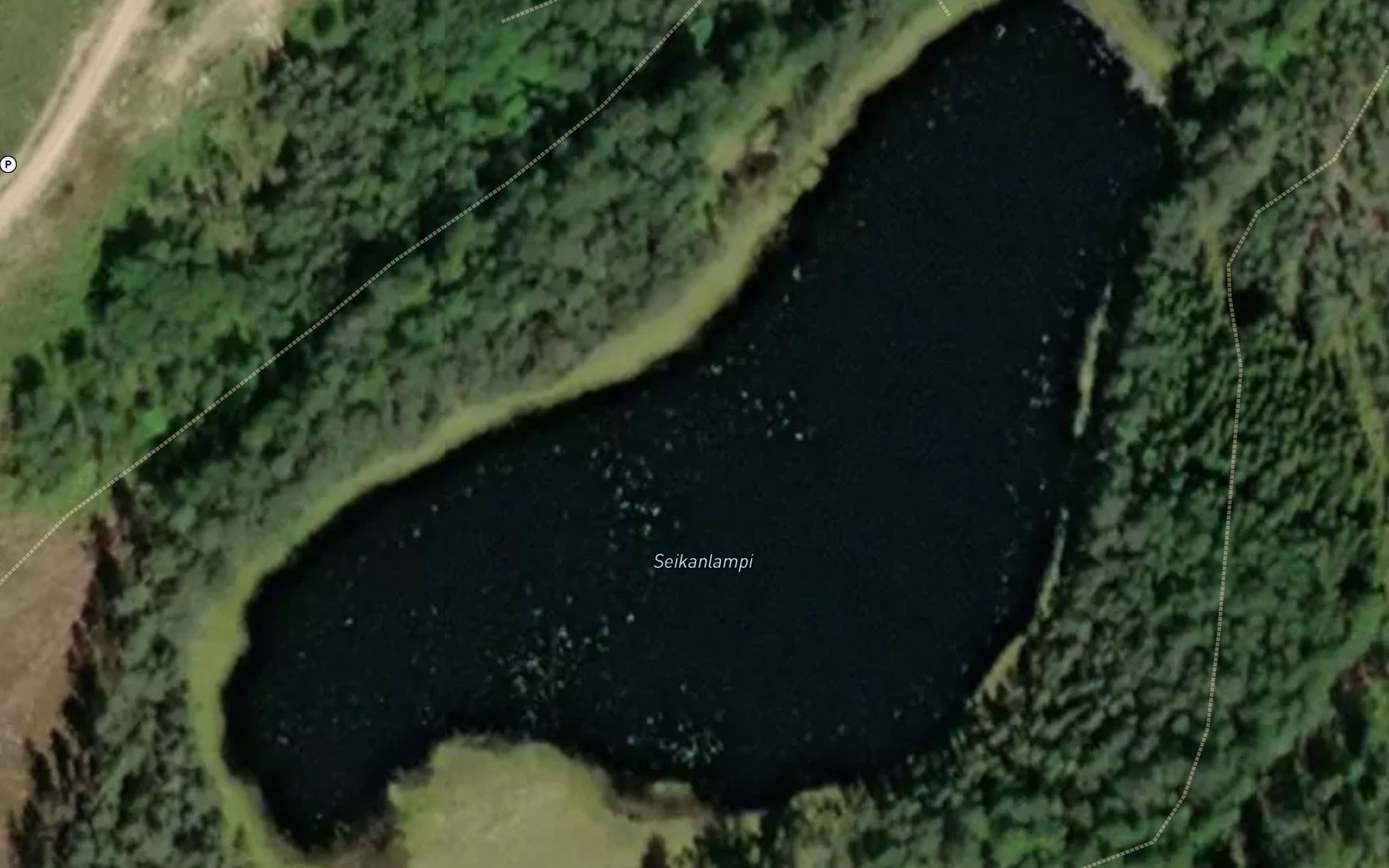 Satellite map of the Seikanlampi