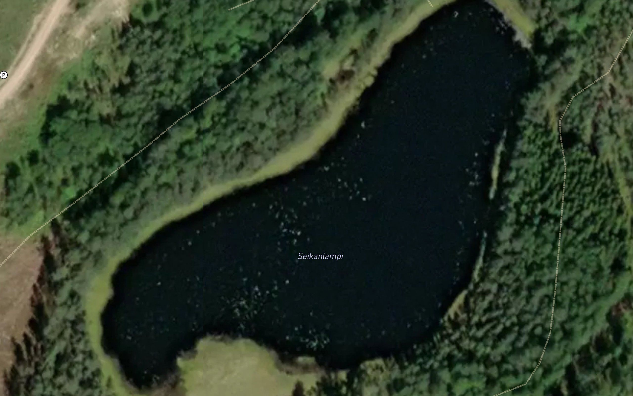 Seikanlampi