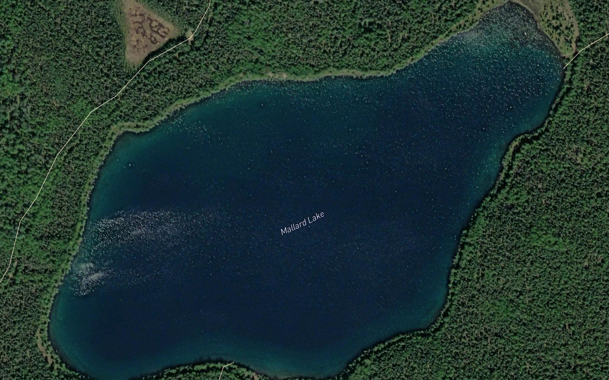 Mallard Lake