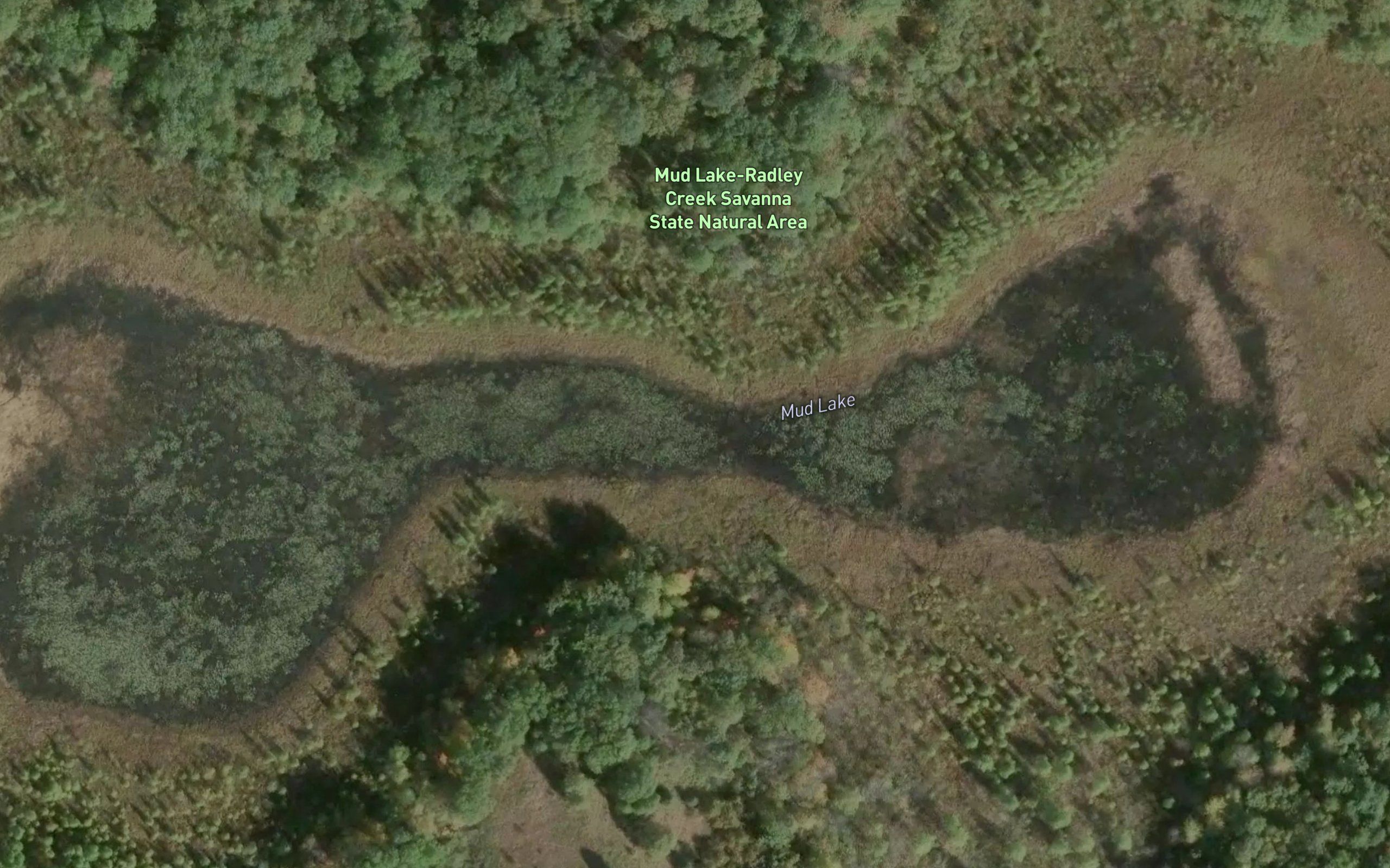 Mud Lake