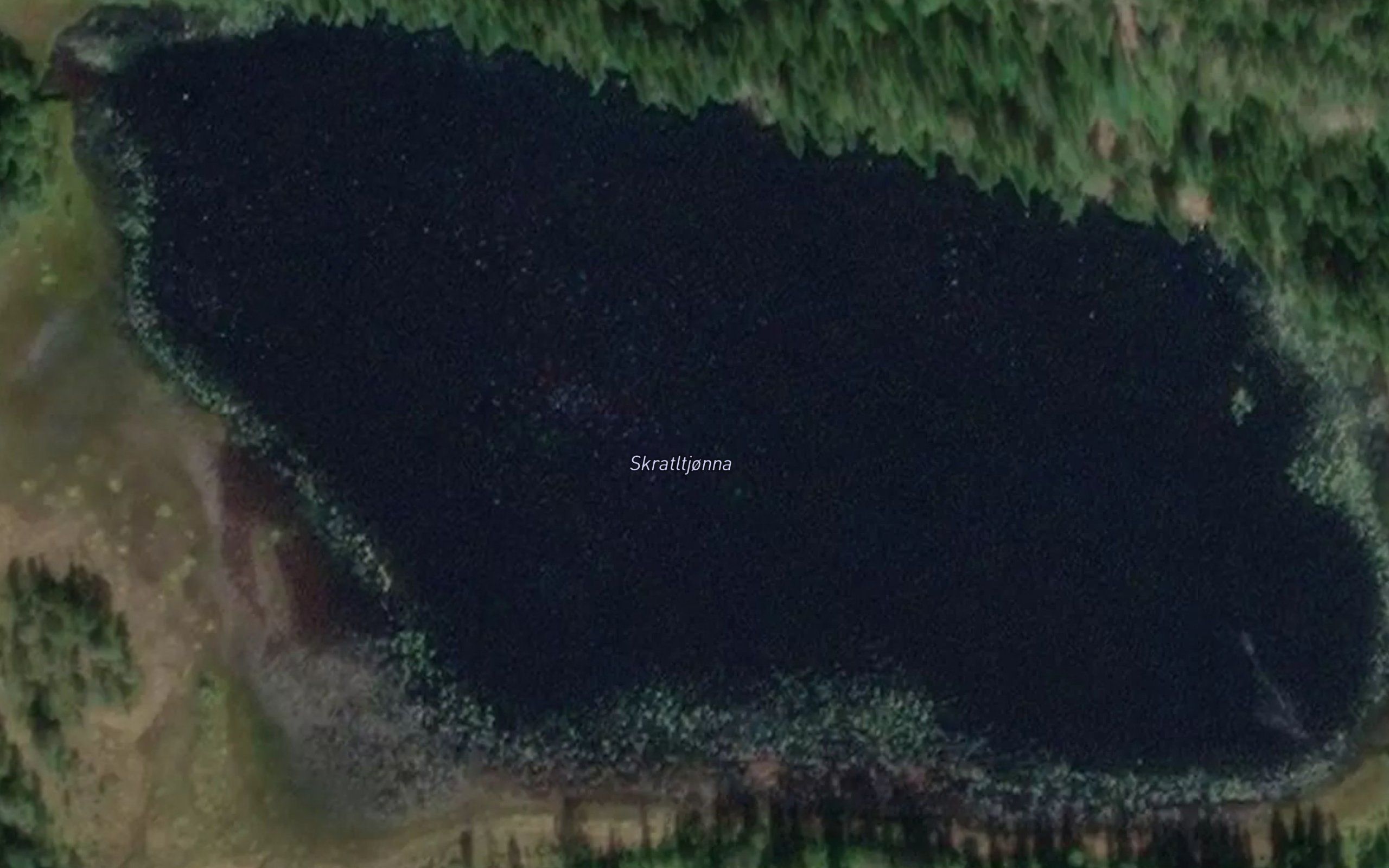 Skratltjorna