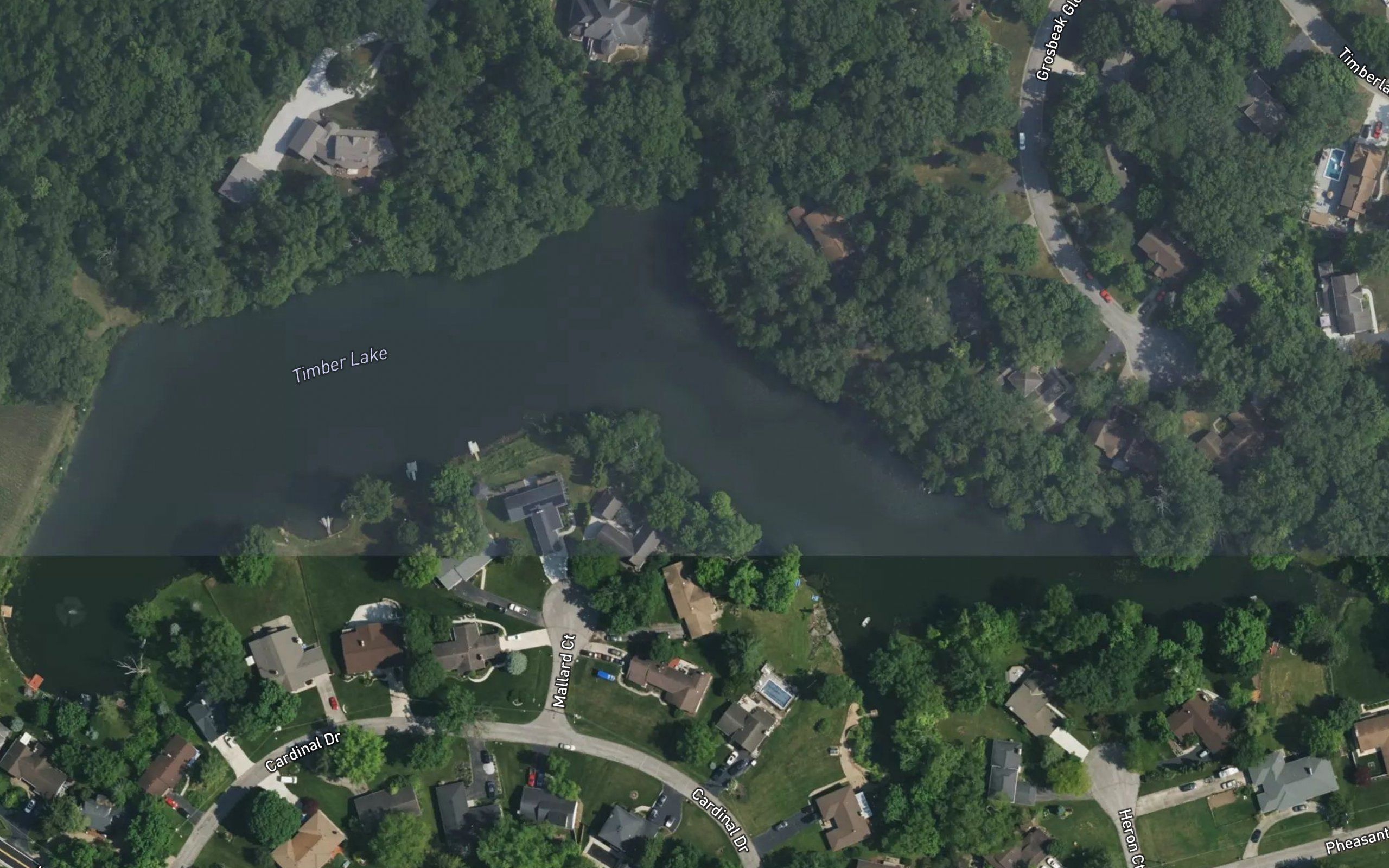 Timber Lake