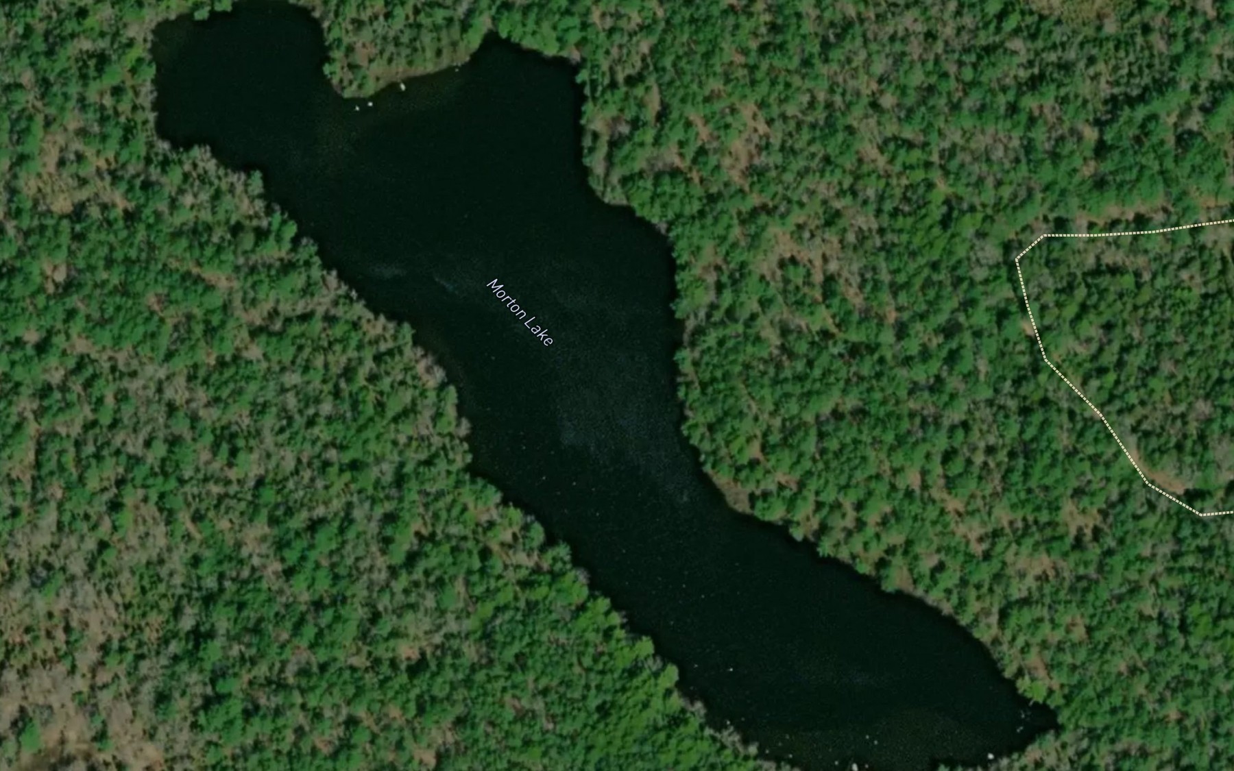 Satellite map of the Morton Lake
