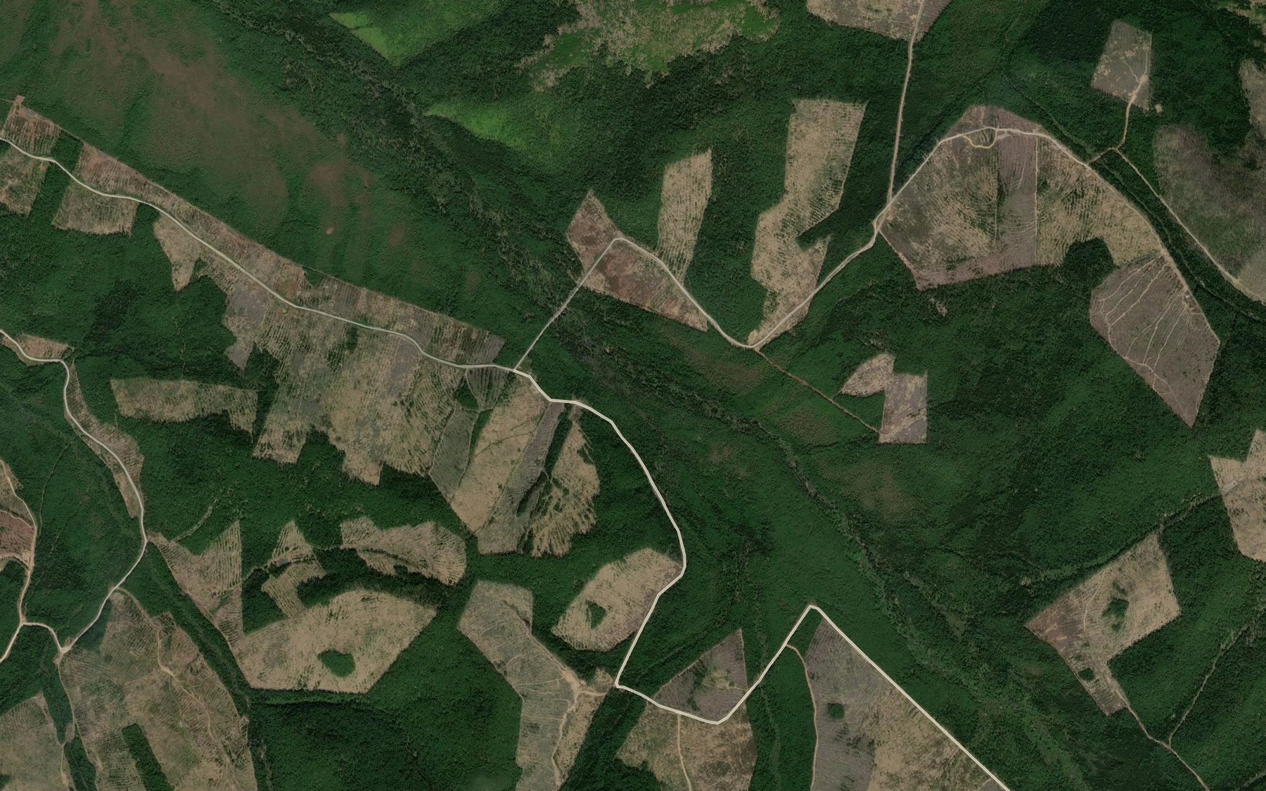 Satellite map of the Yuzhnaya Pritok