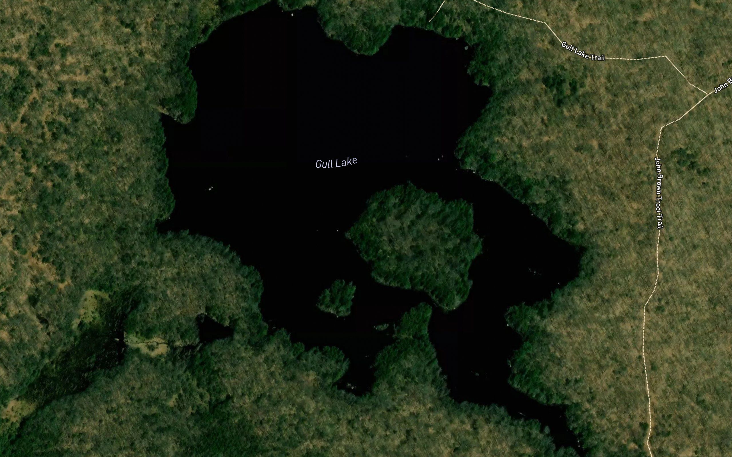 Gull Lake