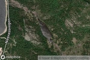 Heknetjorn