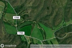 Robinson Hollow Branch