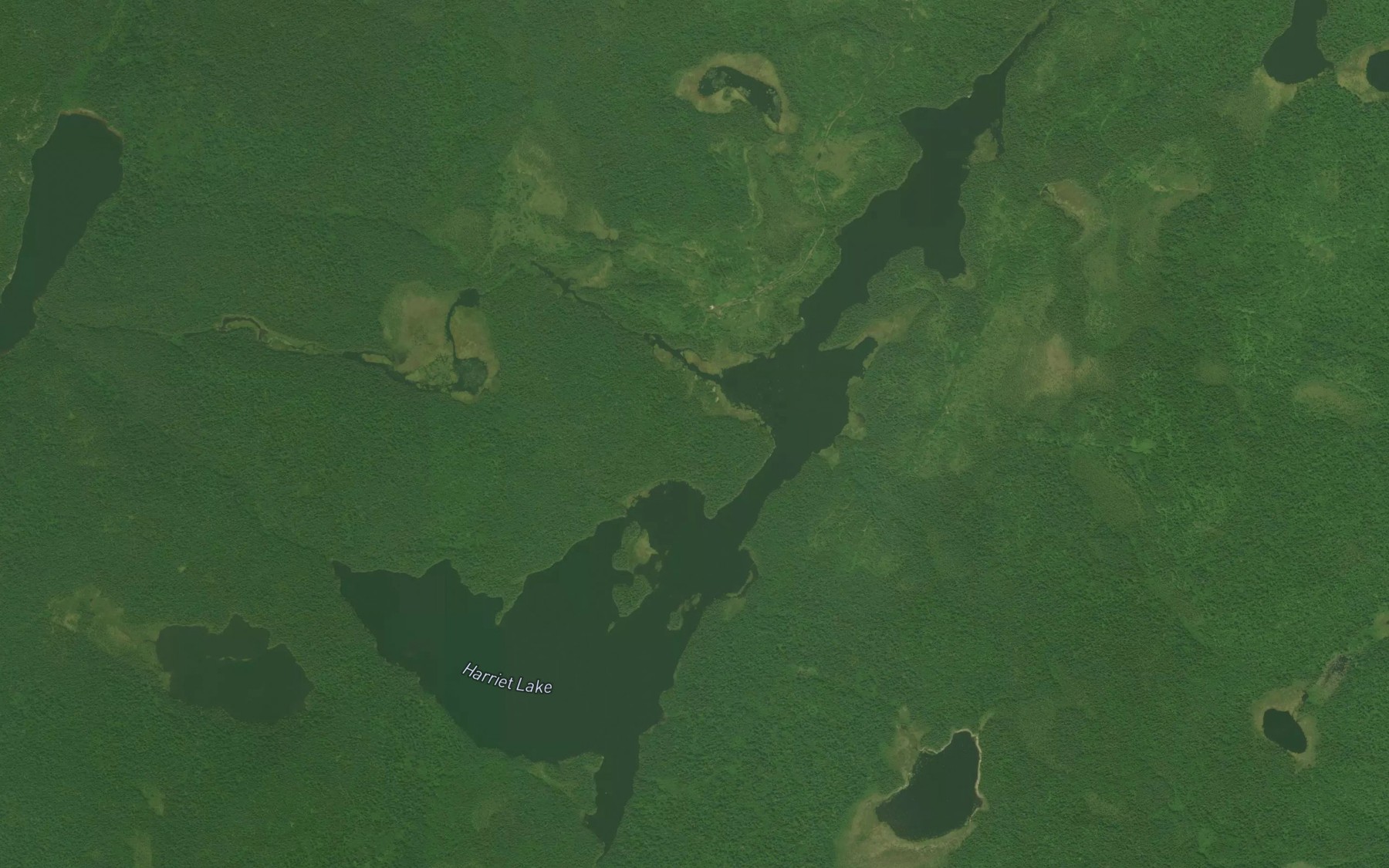 Satellite map of the Harriet Lake