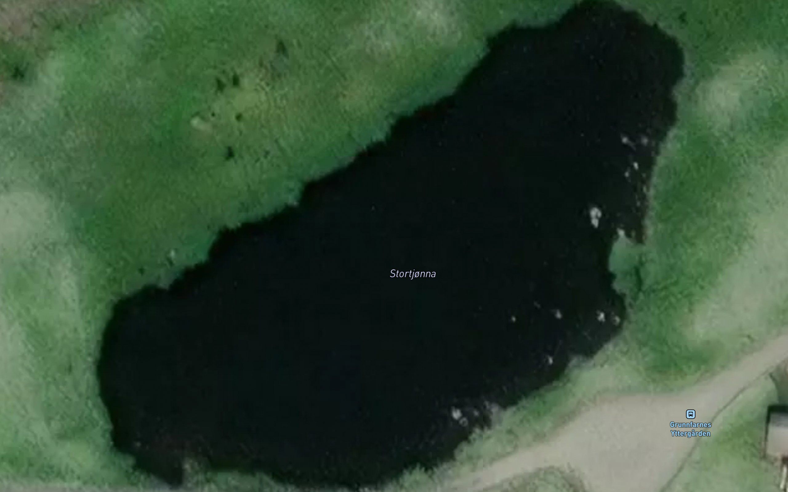 Stortjonna