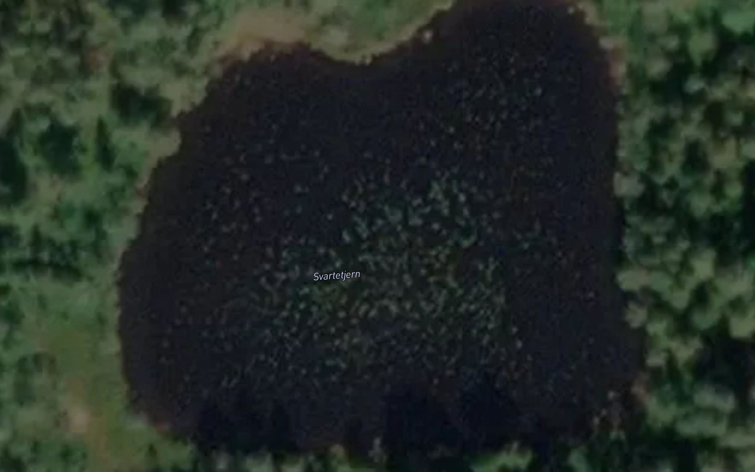 Svartetjern
