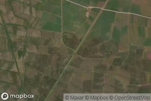 Hanotia Distributary