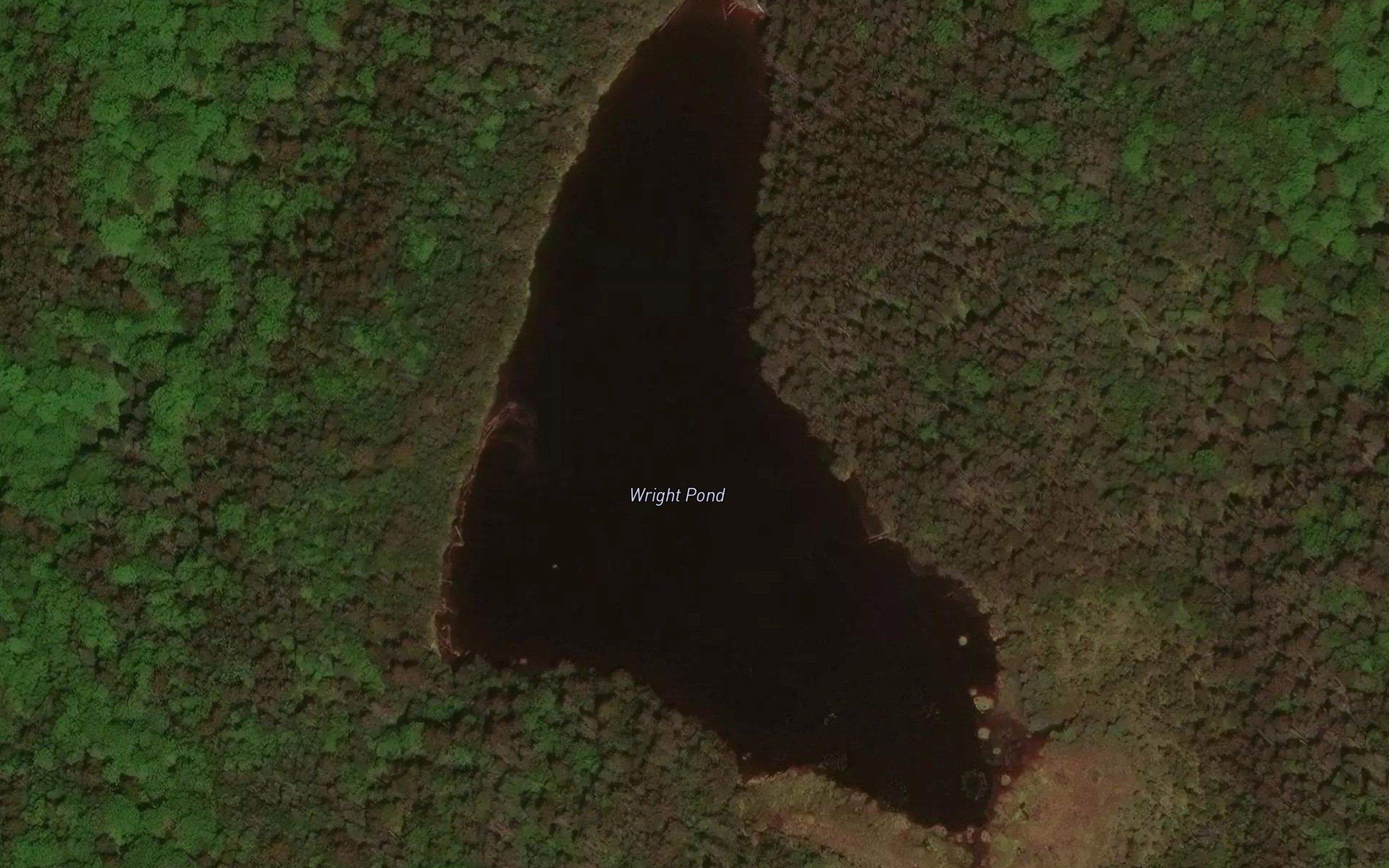 Wright Pond