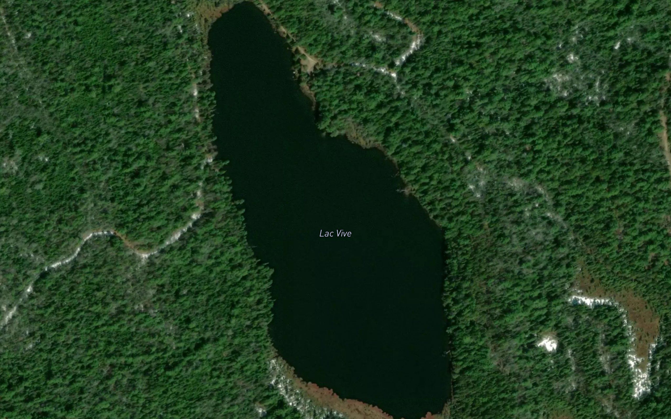Lac Vive