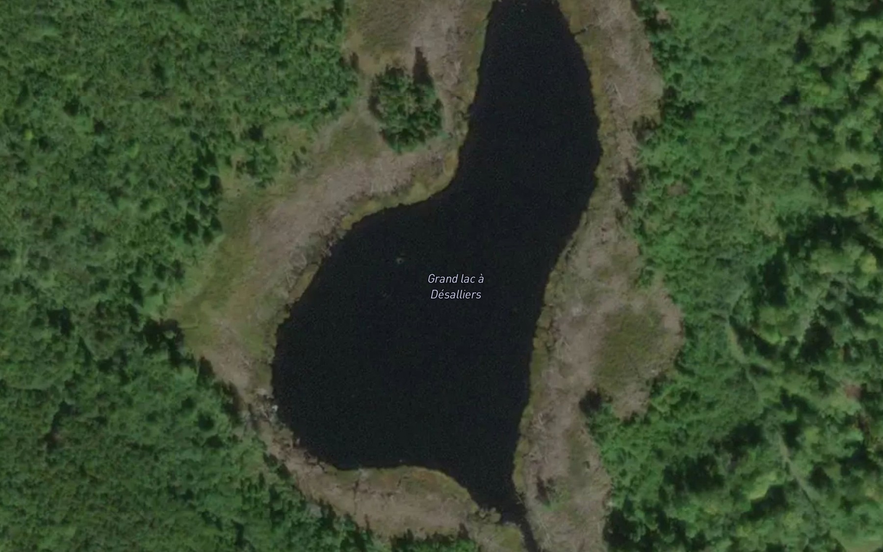 Satellite map of the Grand lac a Desalliers