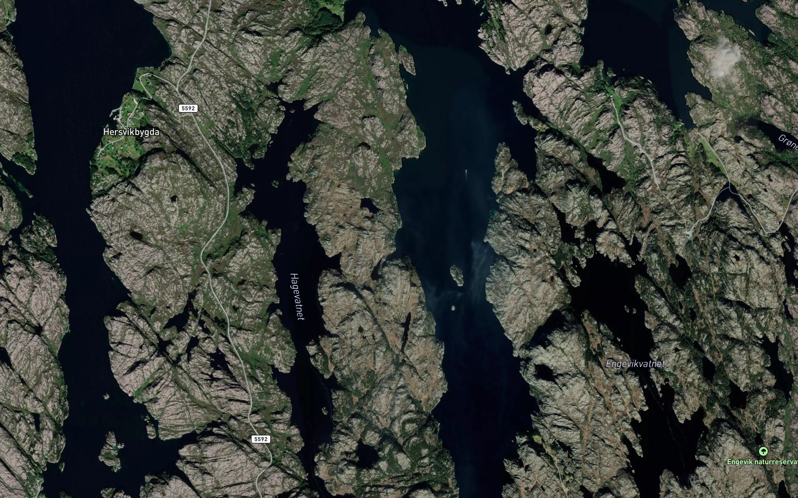 Gildrenesvika
