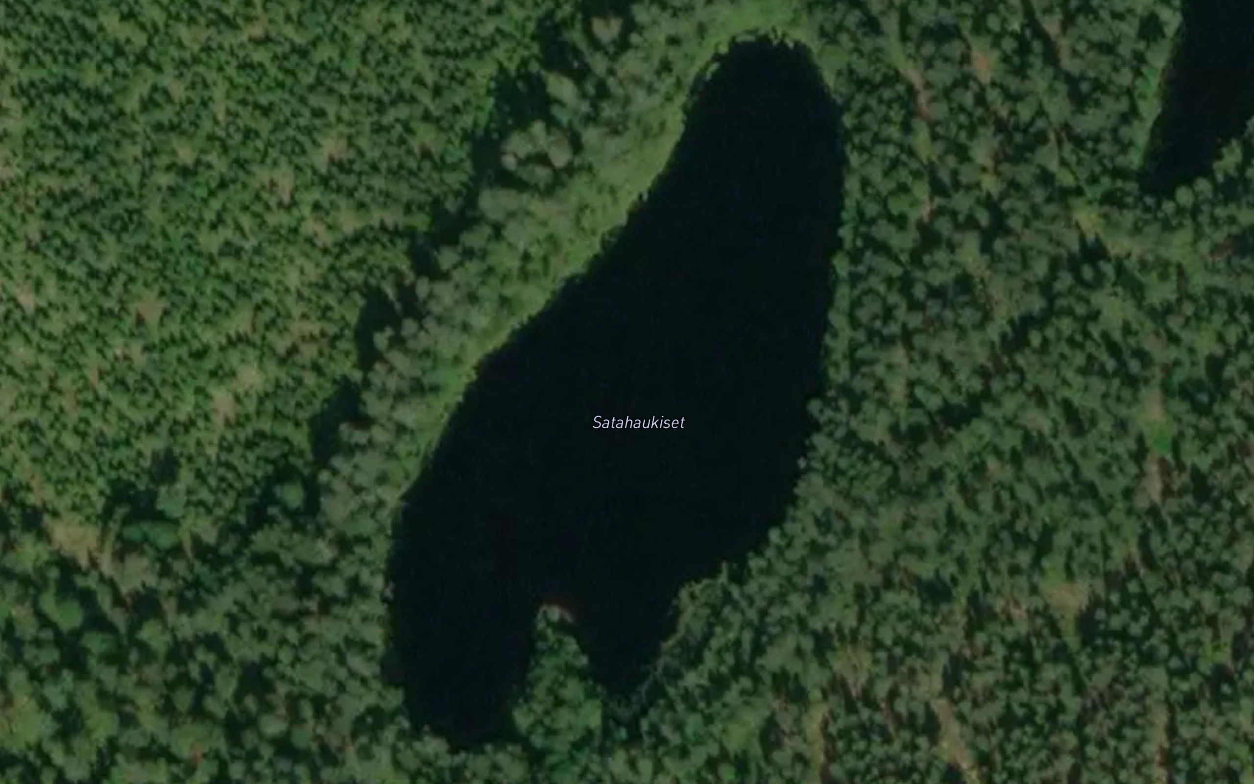 Satahaukiset