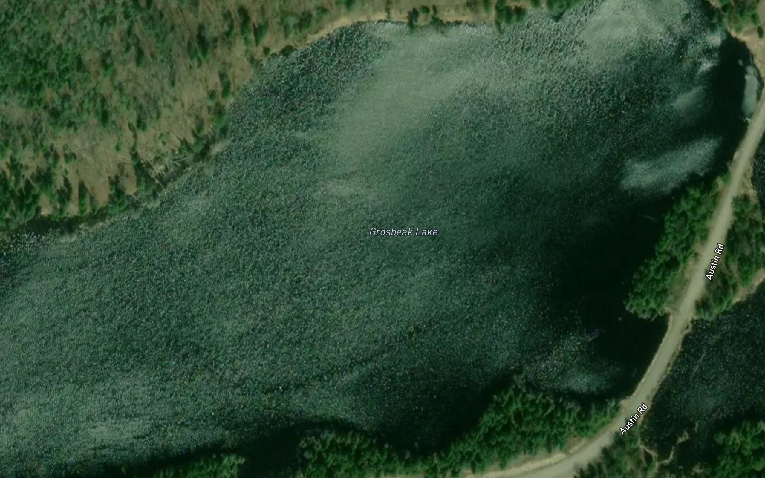 Grosbeak Lake