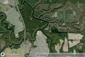 Middle Fork Cowikee Creek