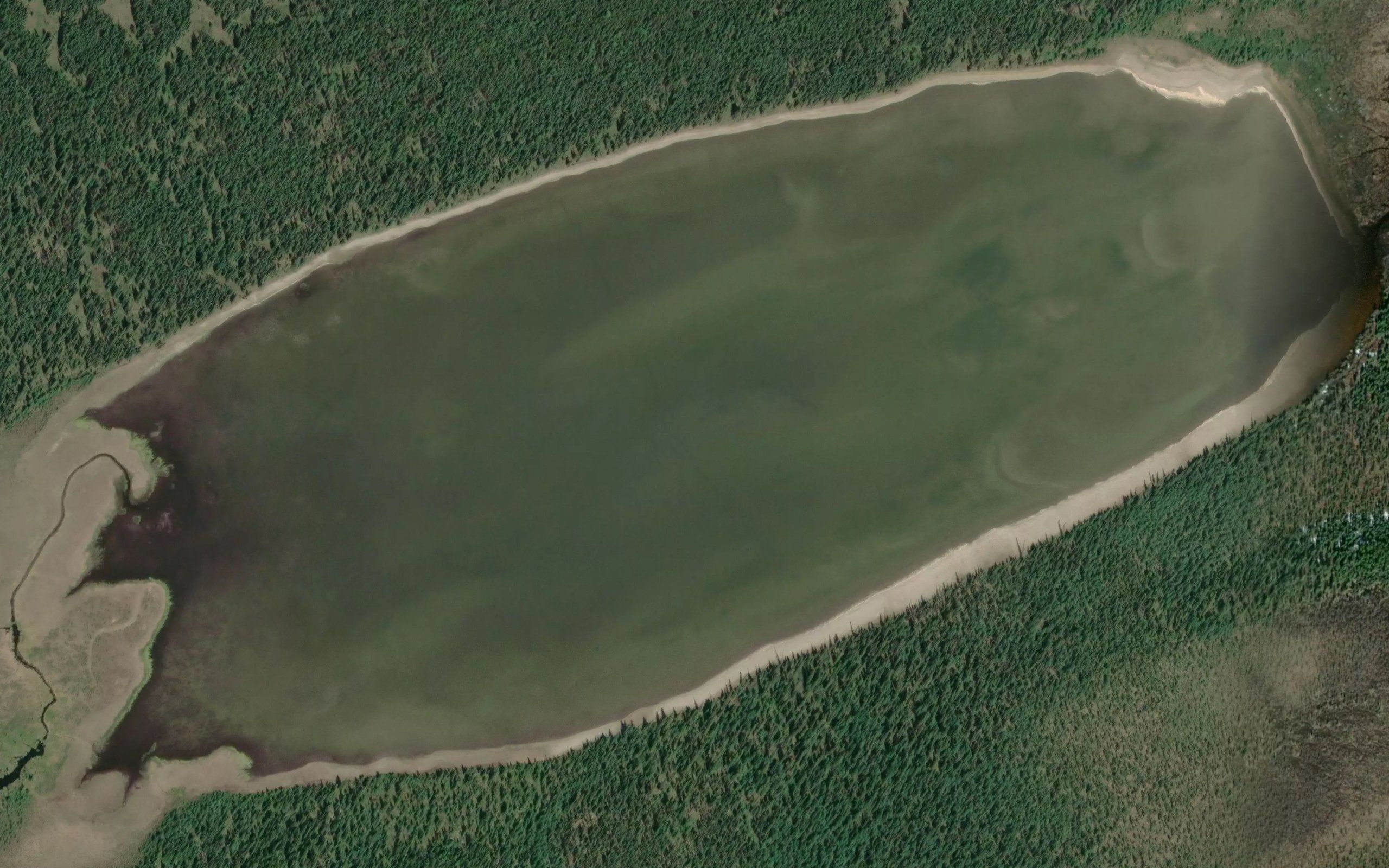 Dennice Lake