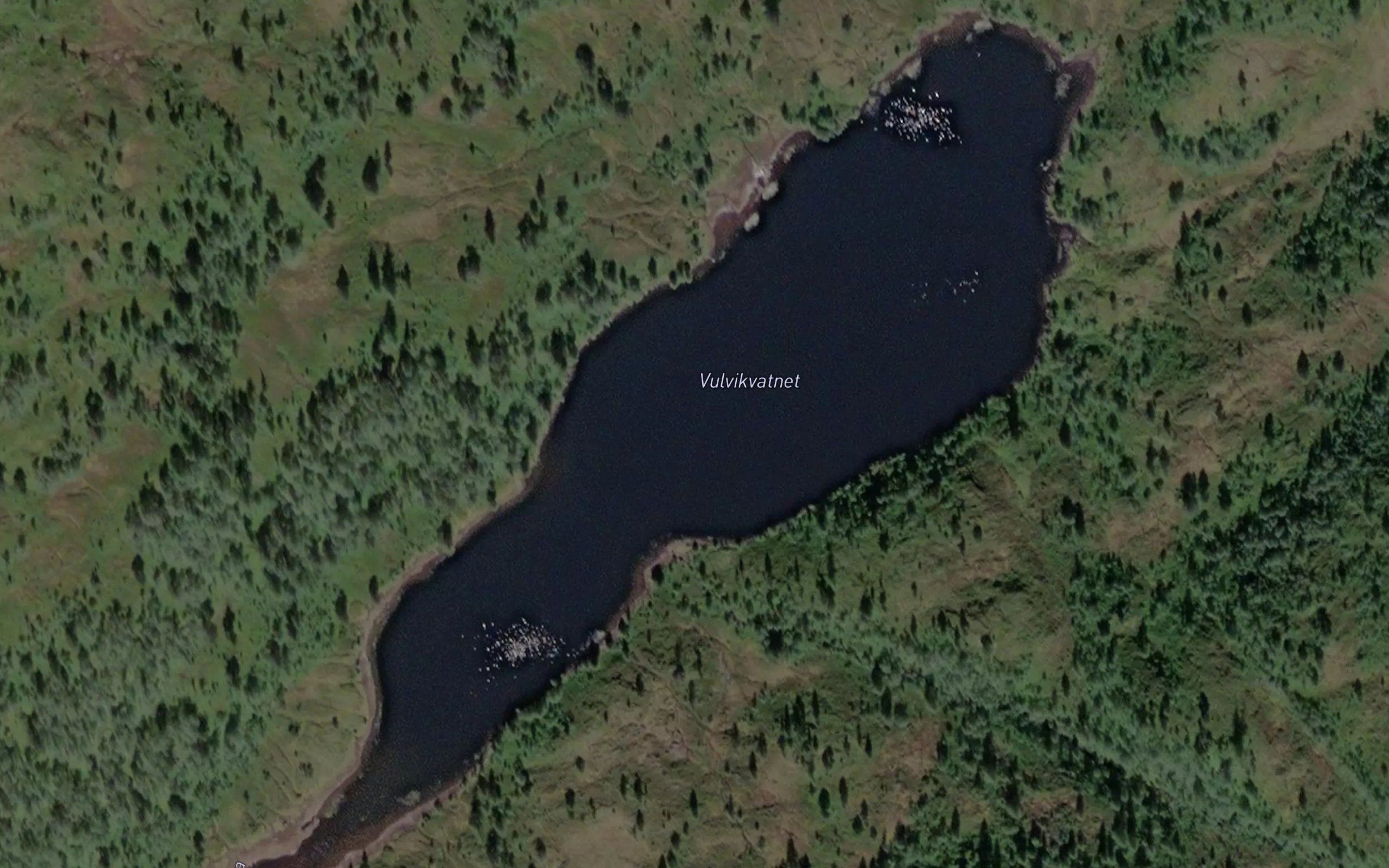 Vulvikvatnet