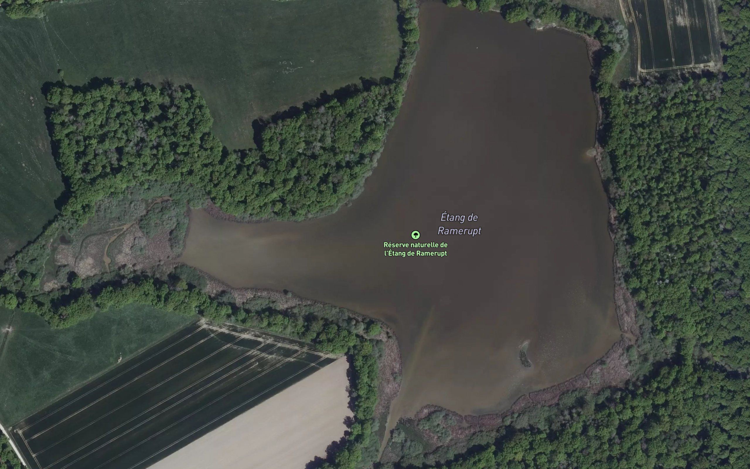 Etang de Ramerupt
