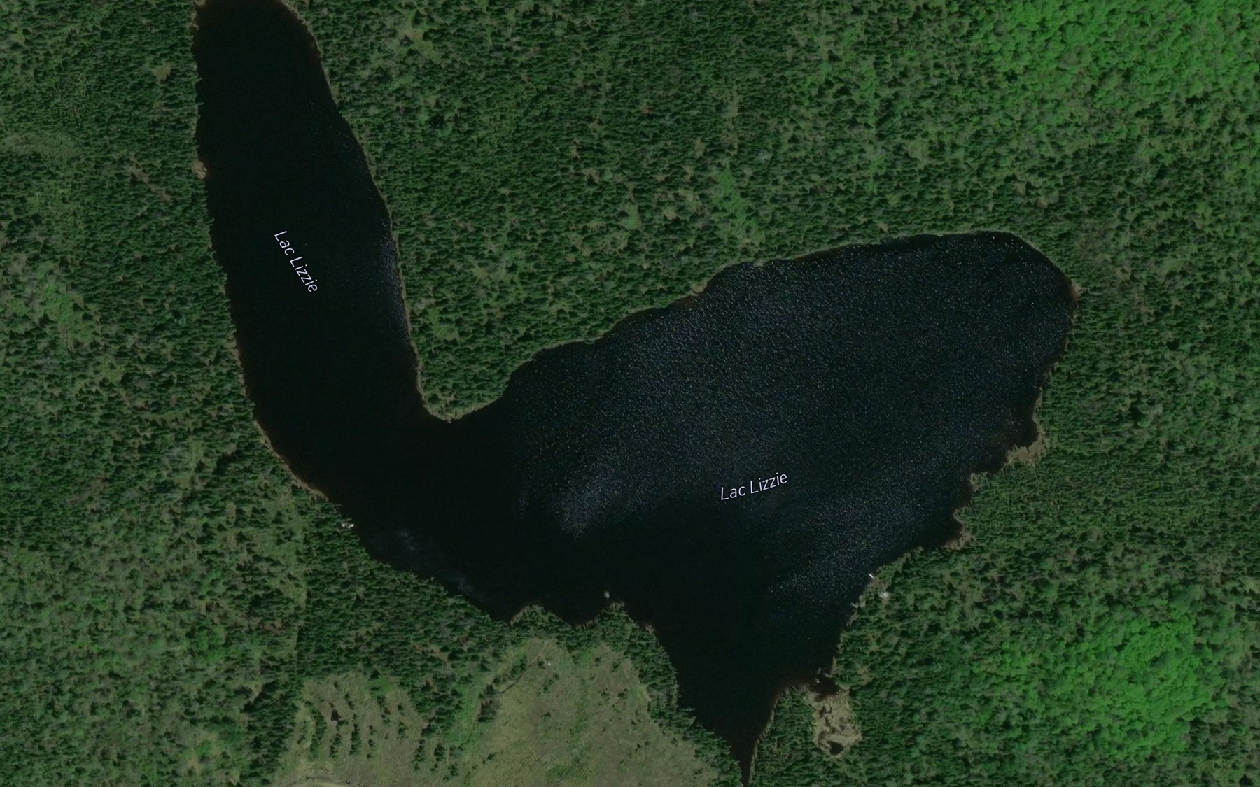 Satellite map of the Lac Lizzie