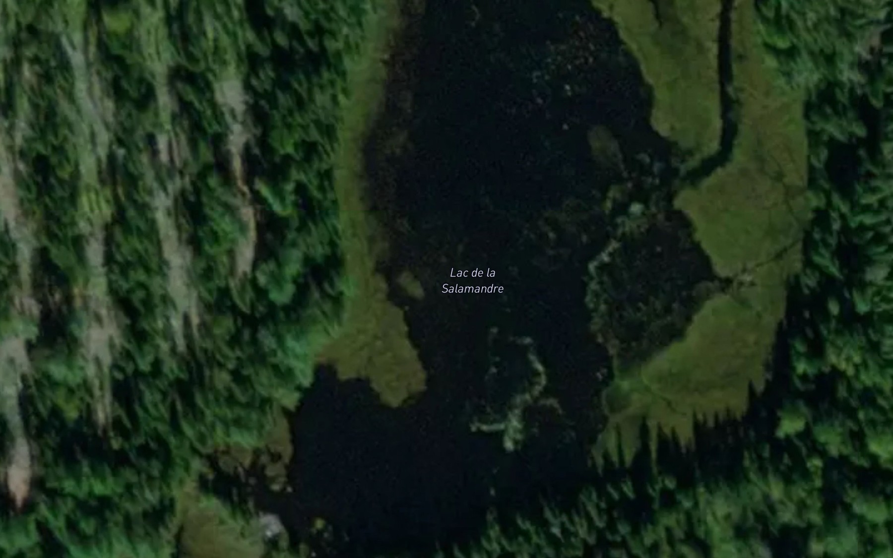 Satellite map of the Lac de la Salamandre
