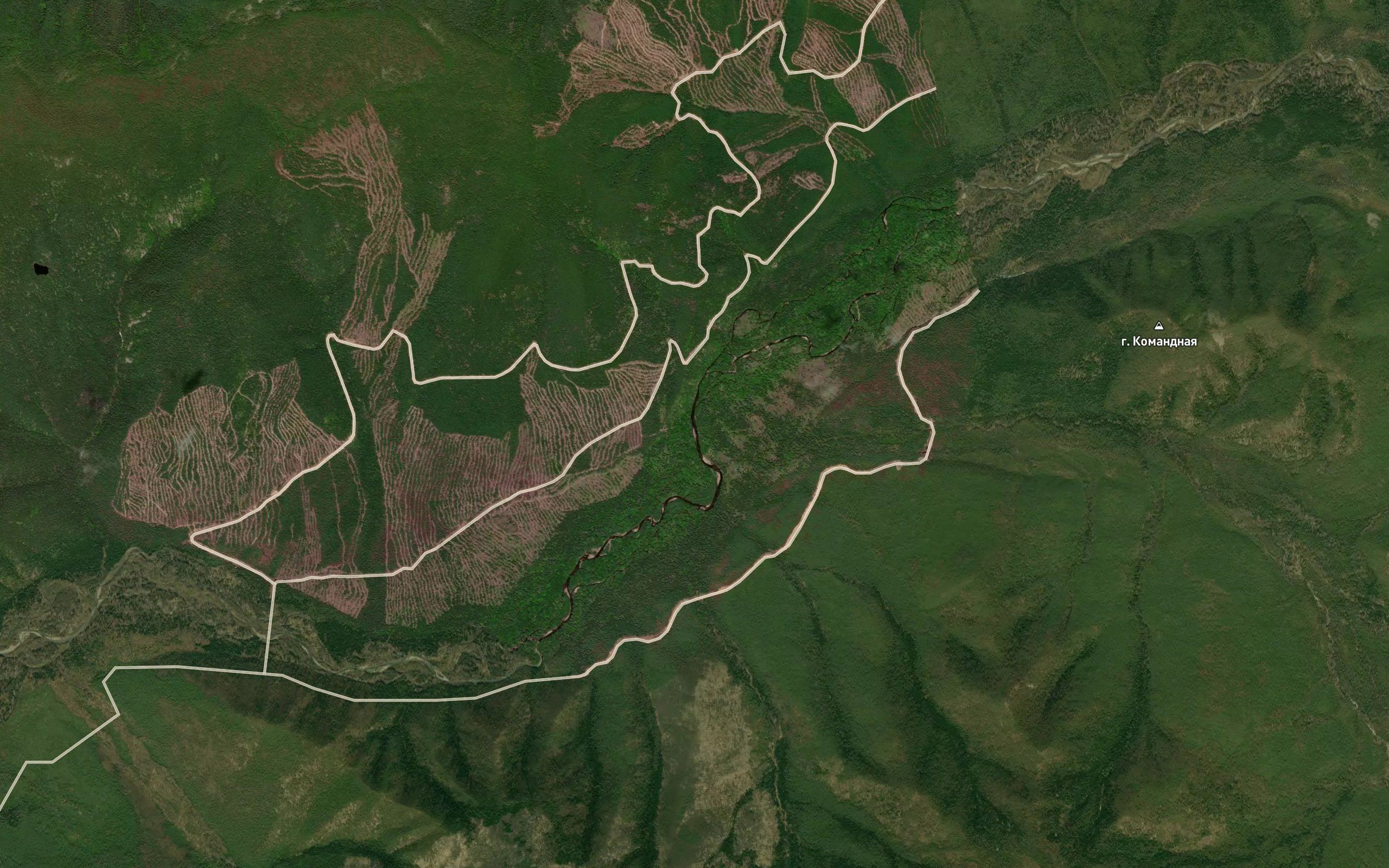 Opasnaya