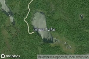 Grass Lake