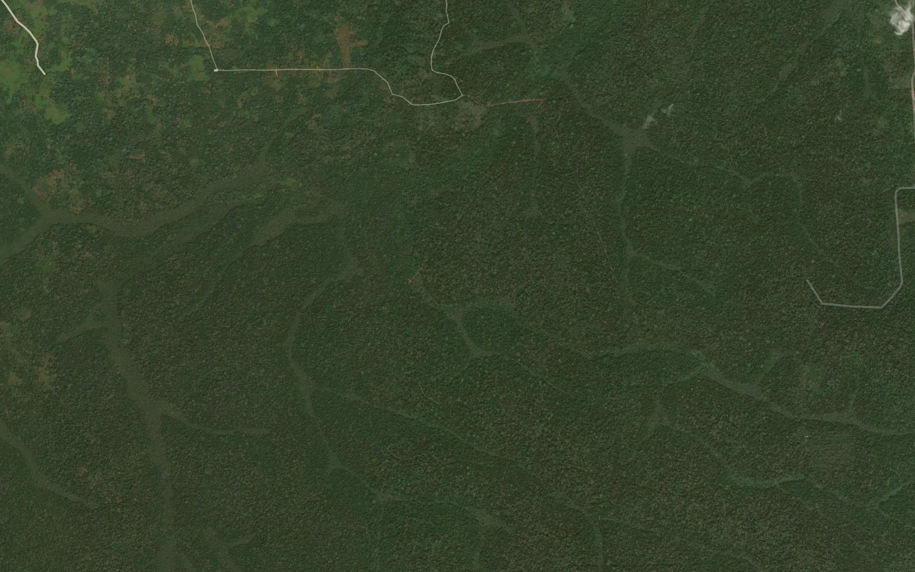 Satellite map of the Diouabe