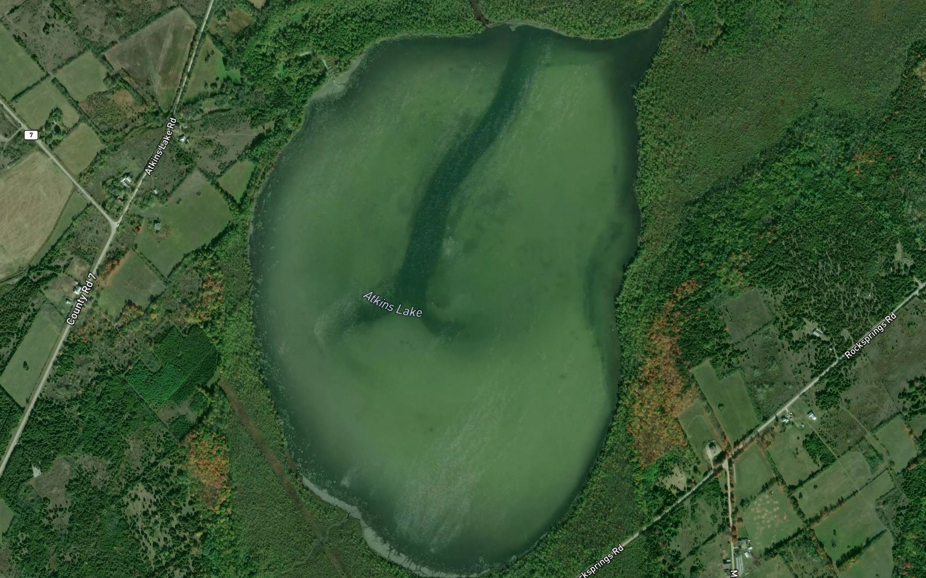 Satellite map of the Atkins Lake