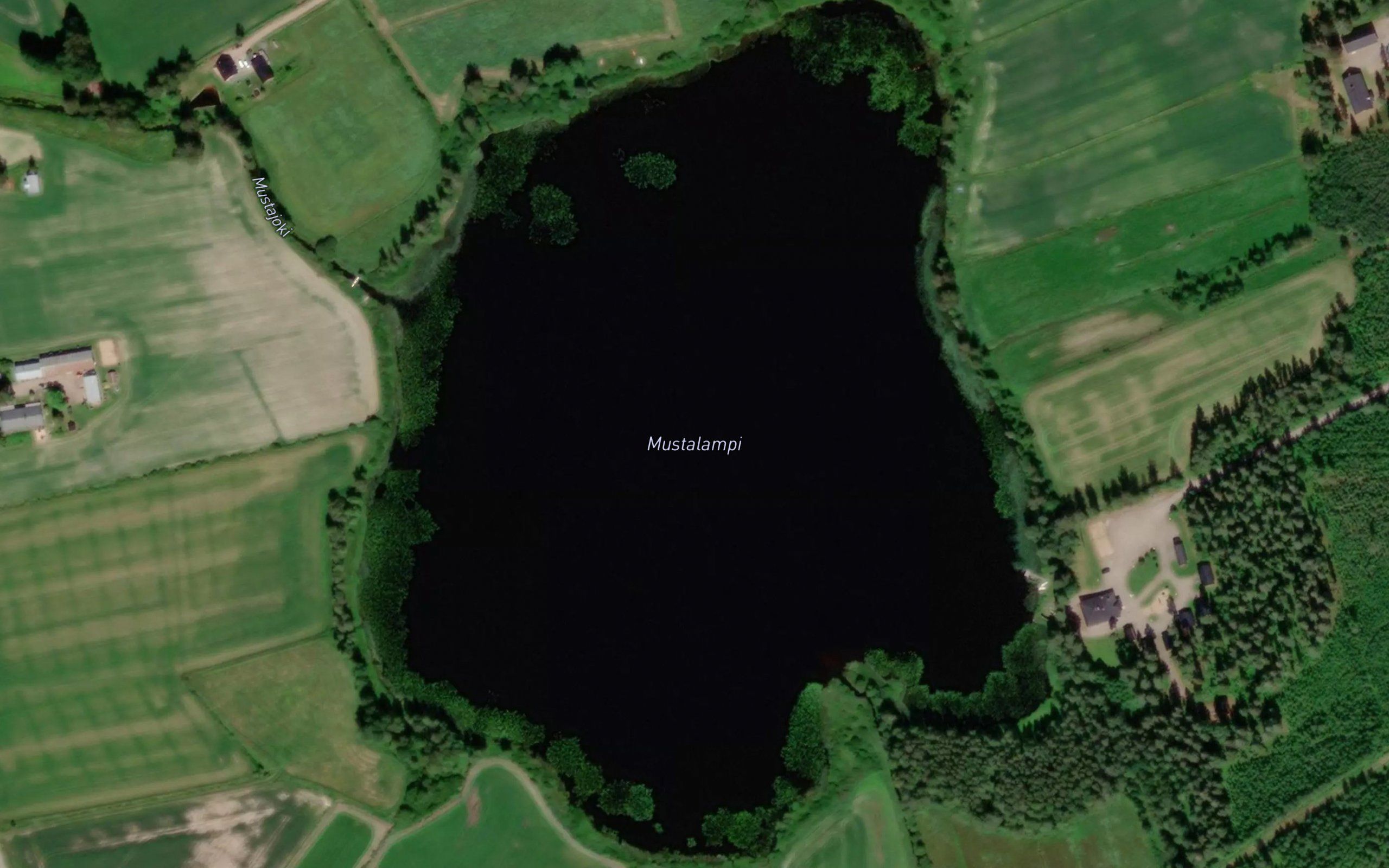 Mustalampi