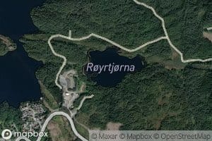Royrtjorna