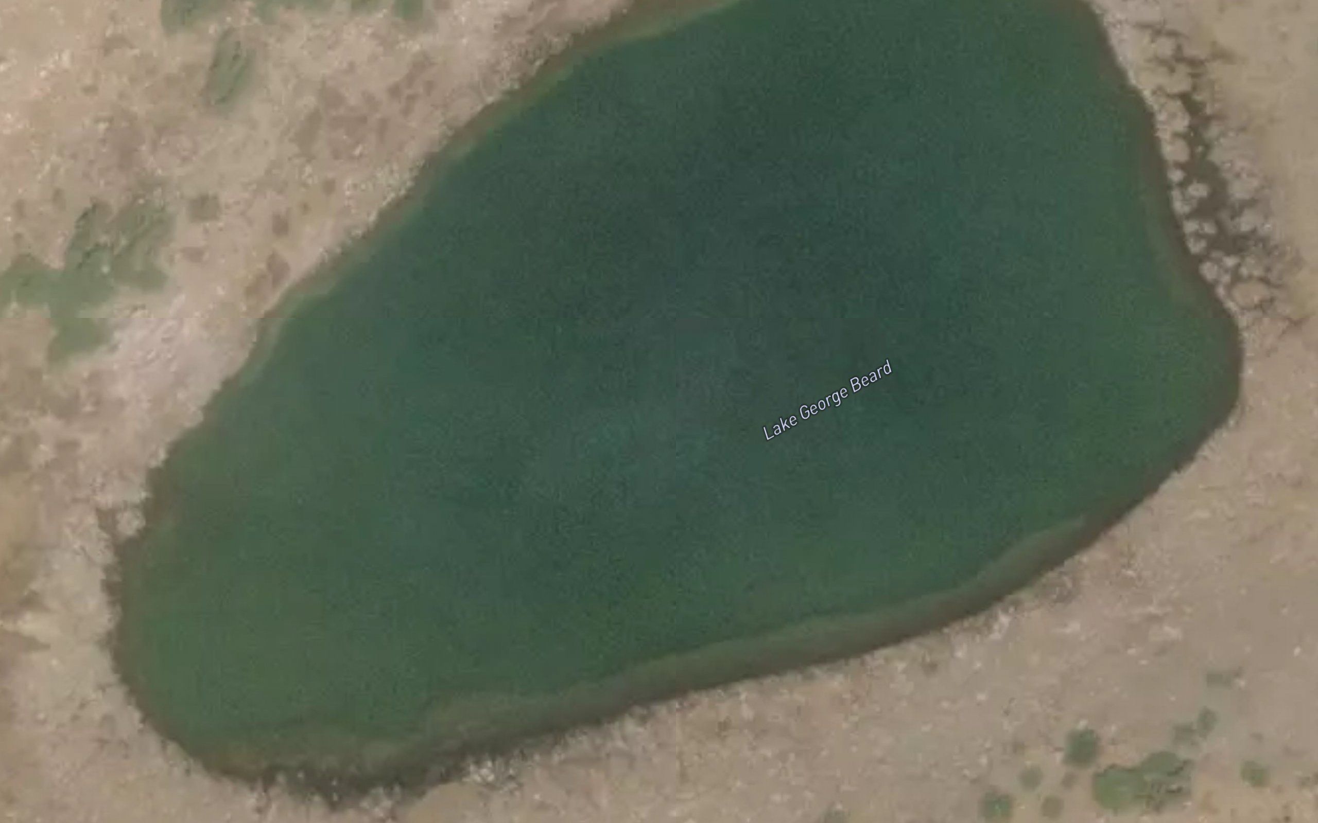 Lake George Beard
