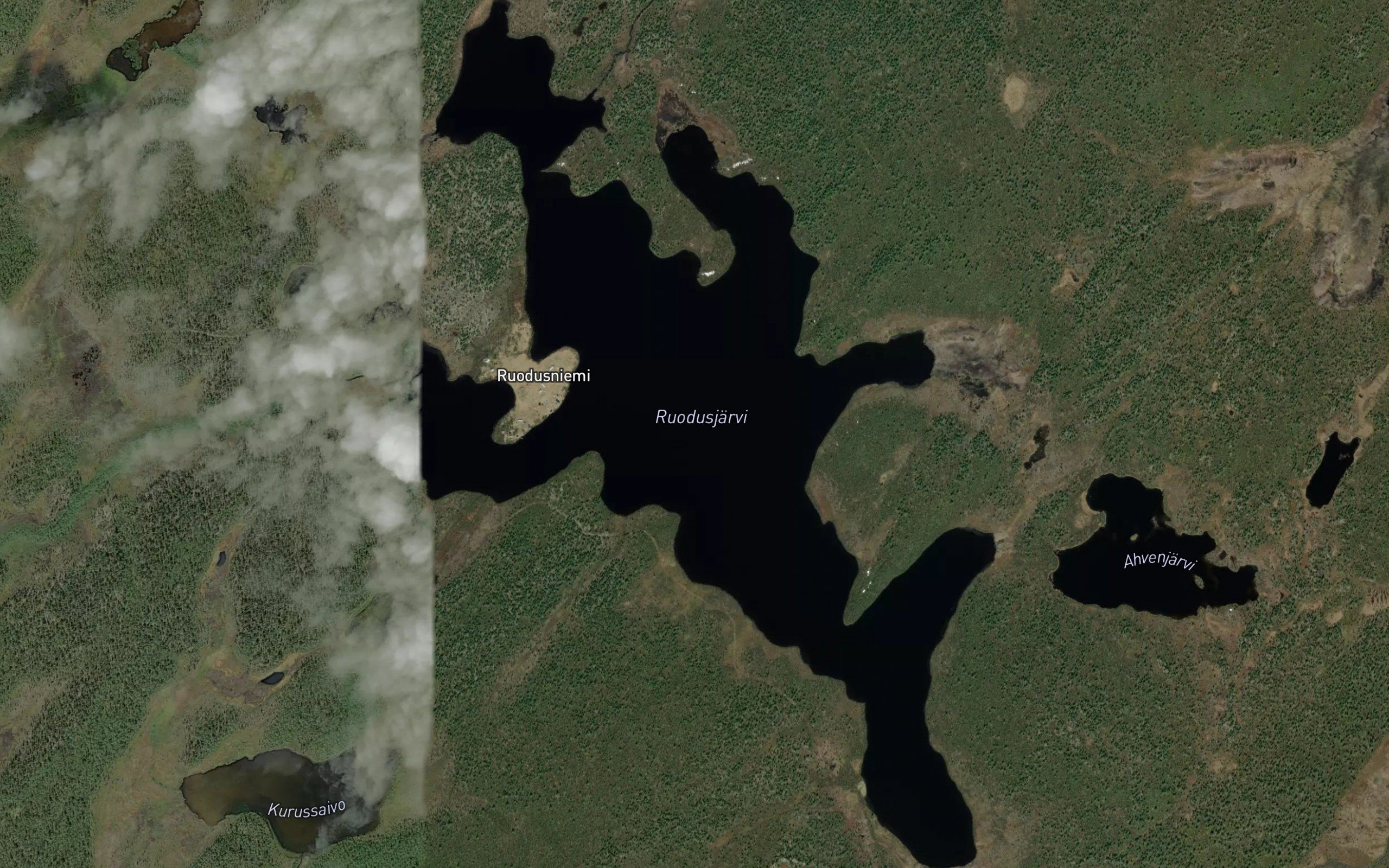 Ruodusjarvi