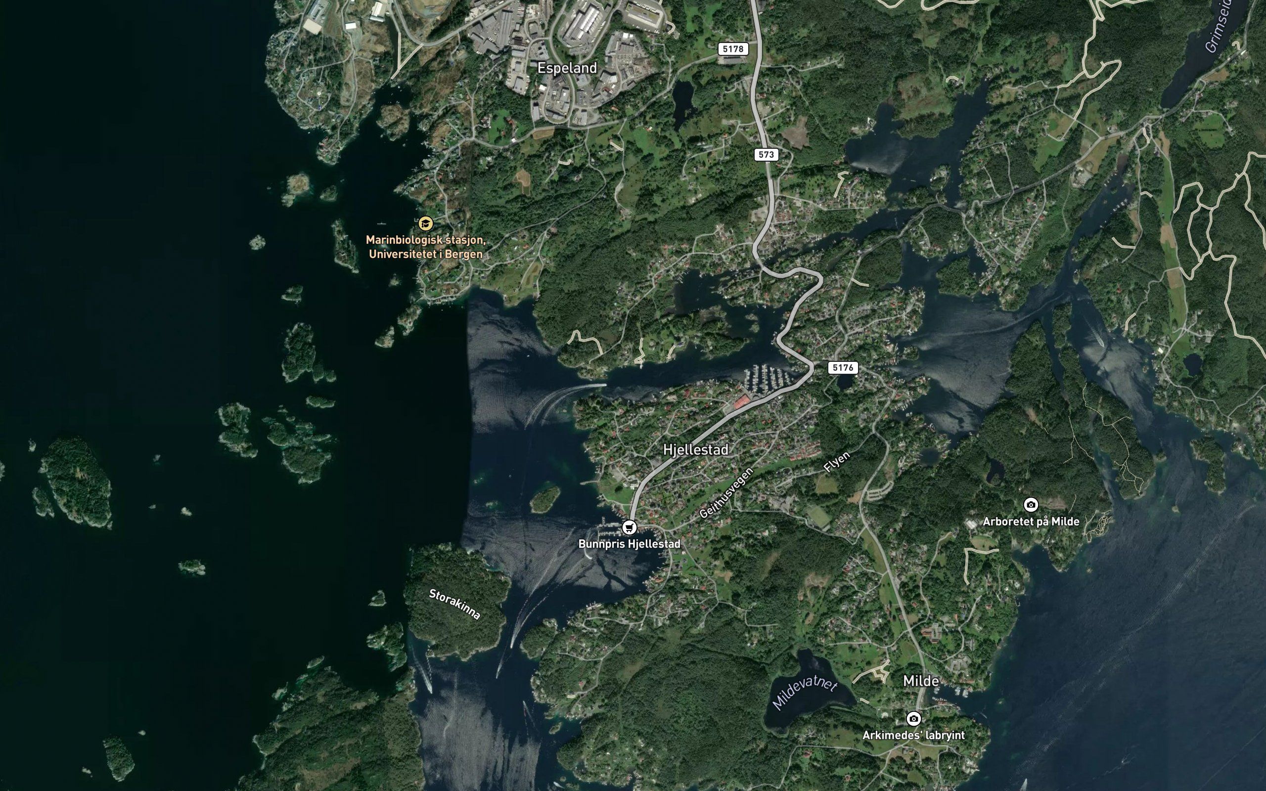 Kviturdspollen