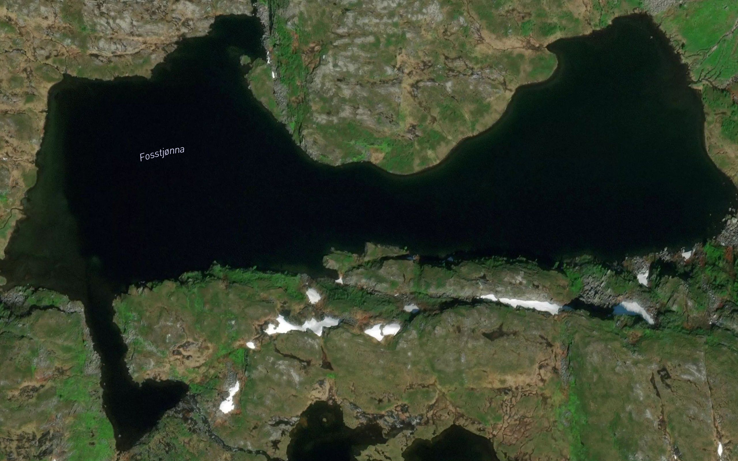 Fosstjorna