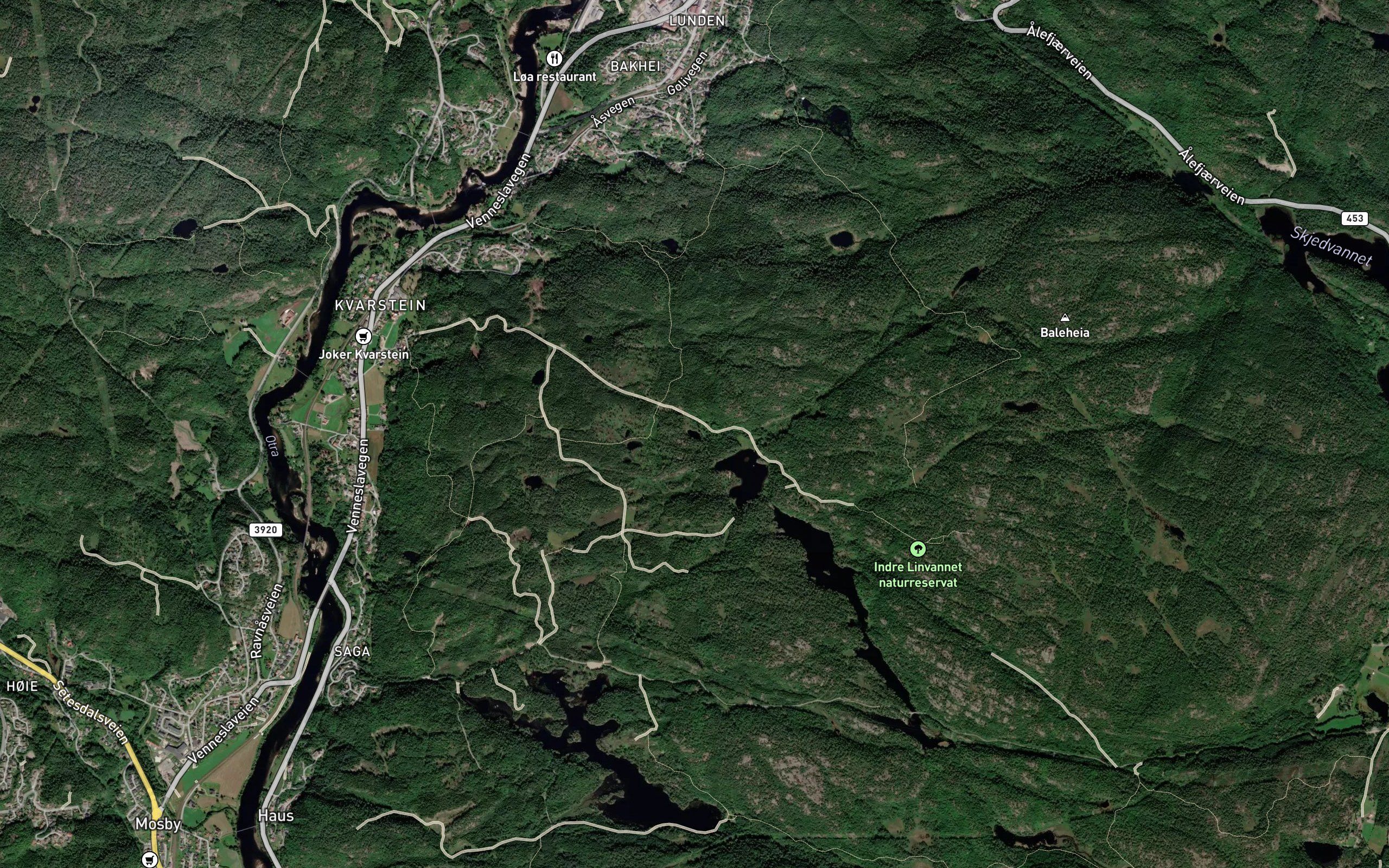 Lintjonn