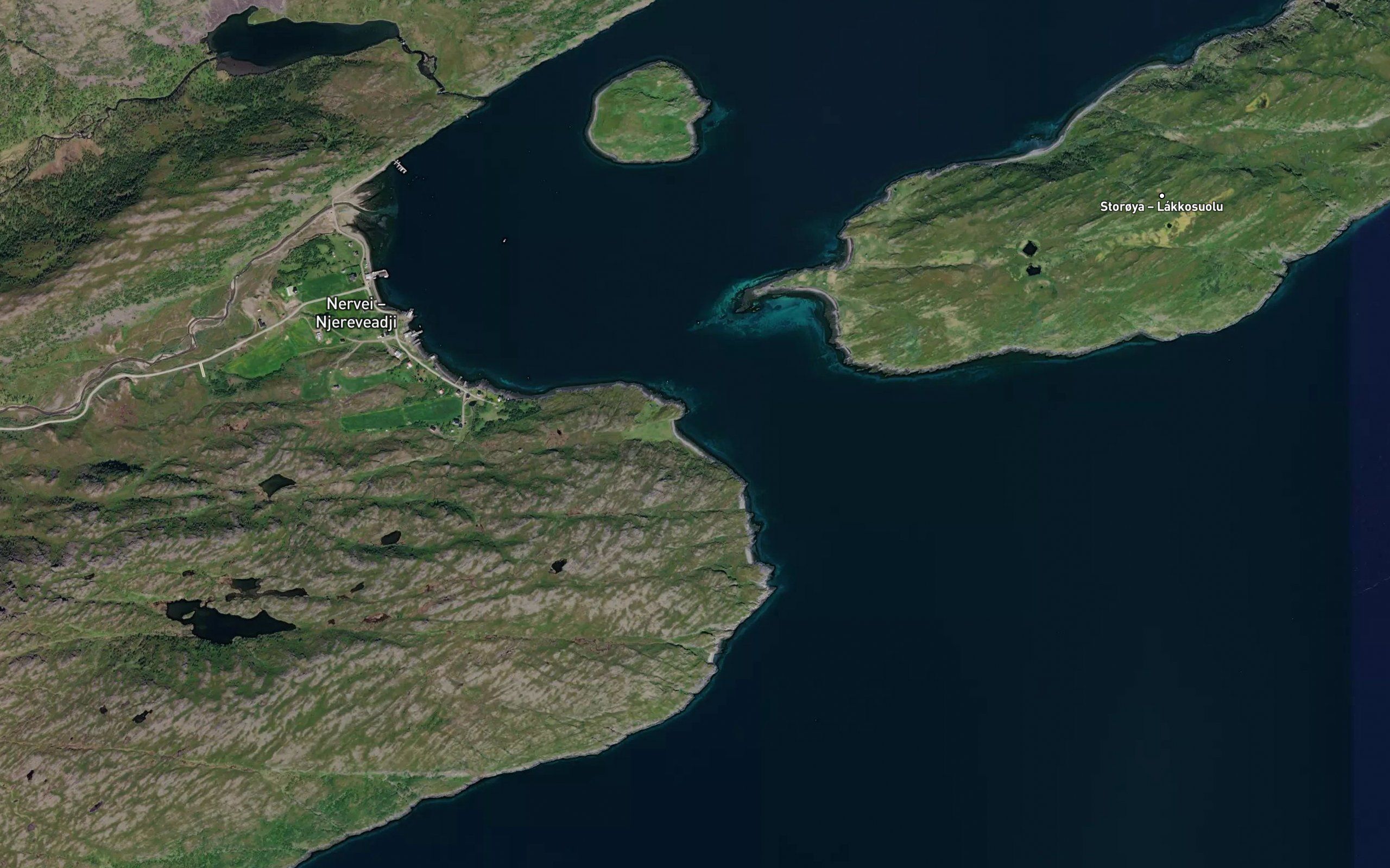 Liggarvika