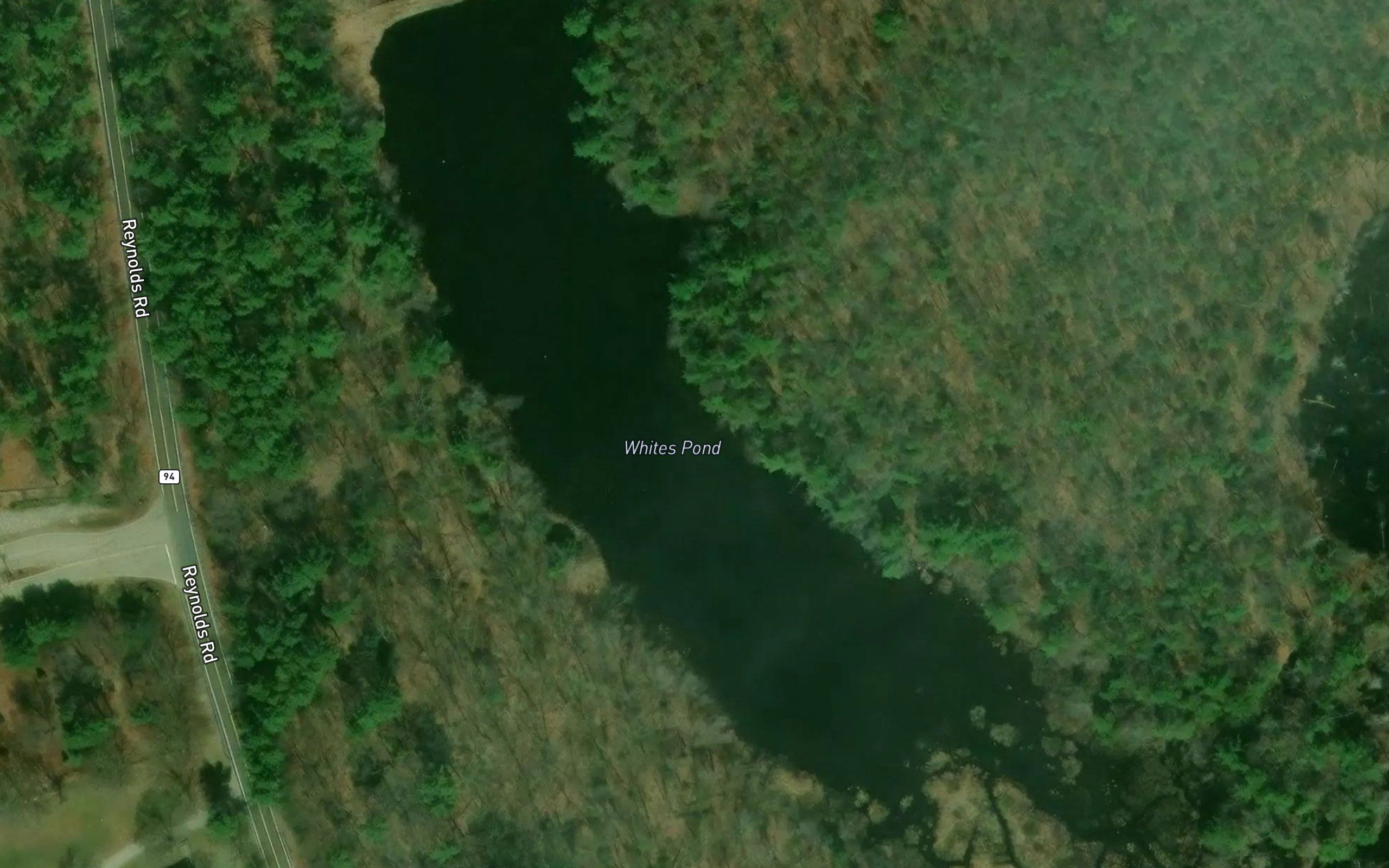 Whites Pond