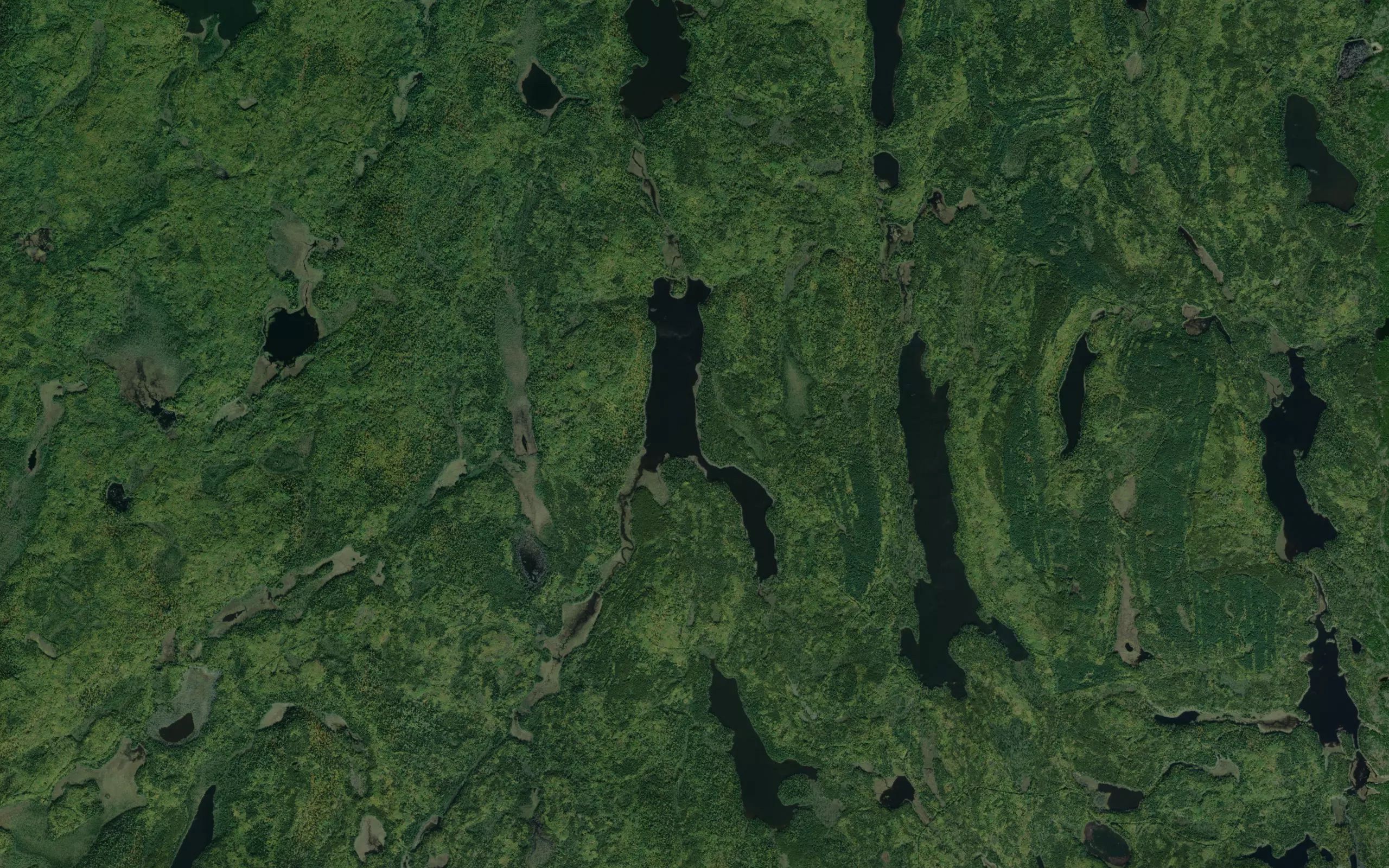Can Opener Lake