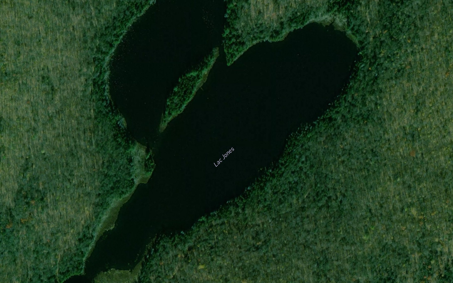 Satellite map of the Lac Jones